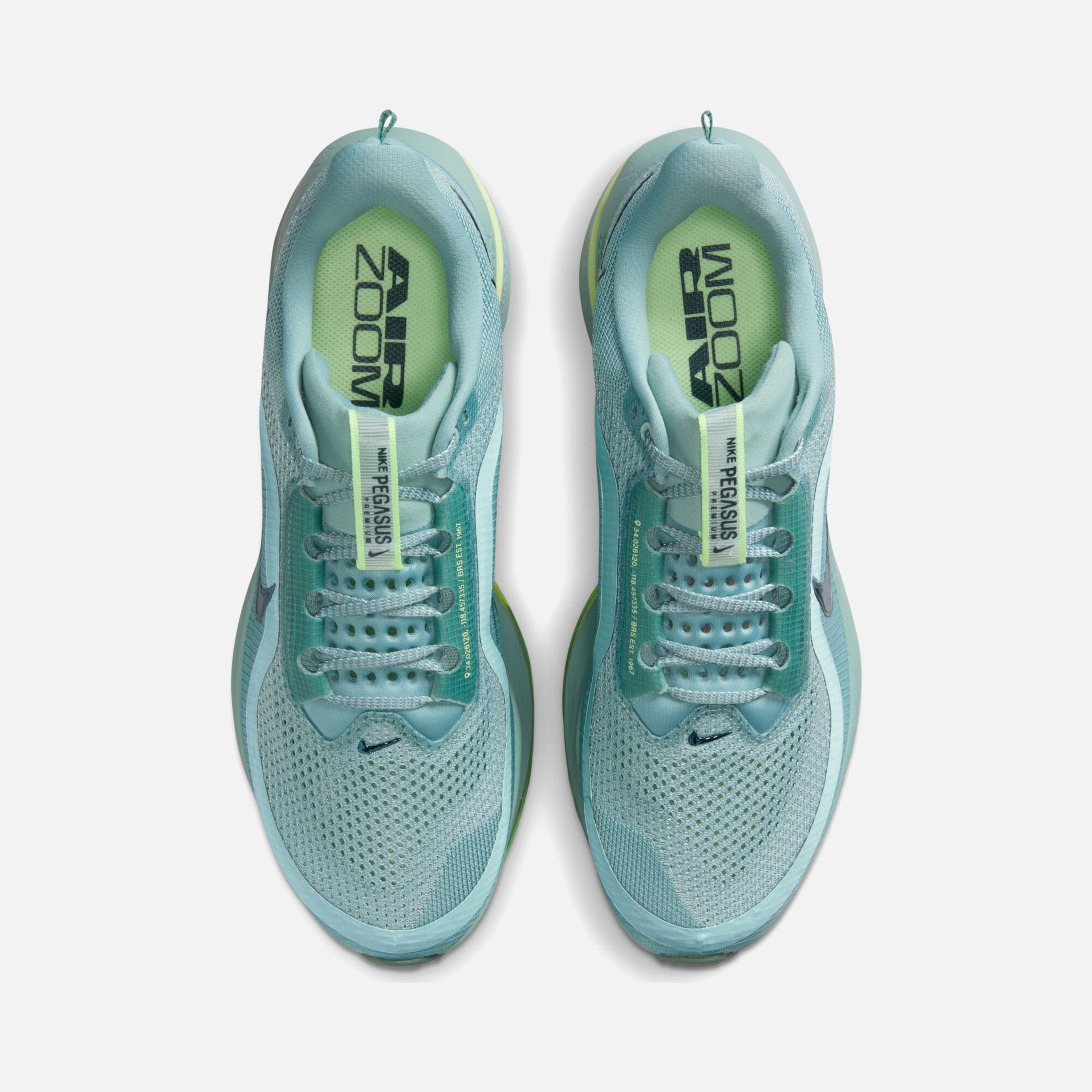 Nike Pegasus Premium Erkek Koşu Ayakkabısı