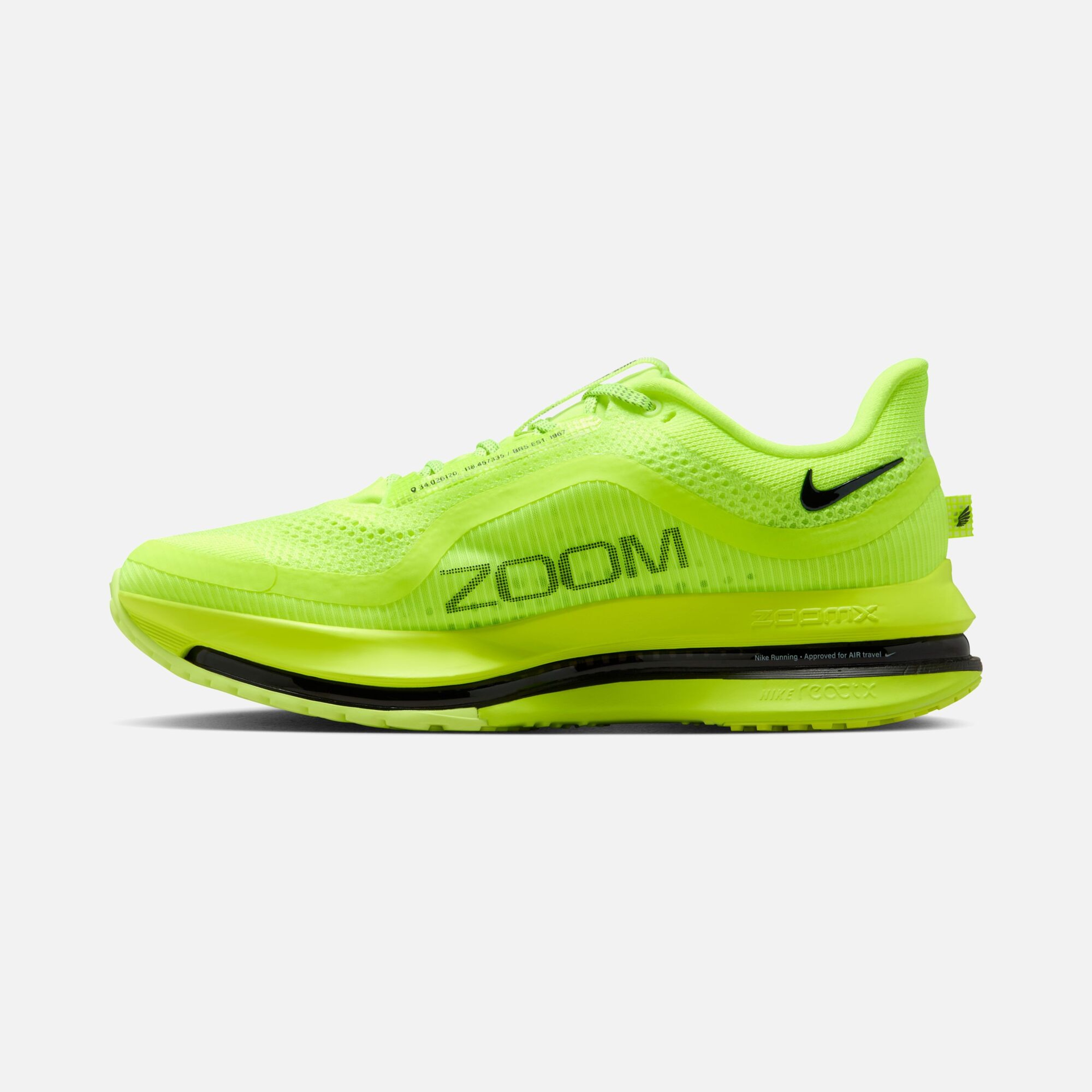 Nike Pegasus Premium Erkek Koşu Ayakkabısı