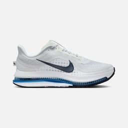 Nike Pegasus Premium Erkek Koşu Ayakkabısı