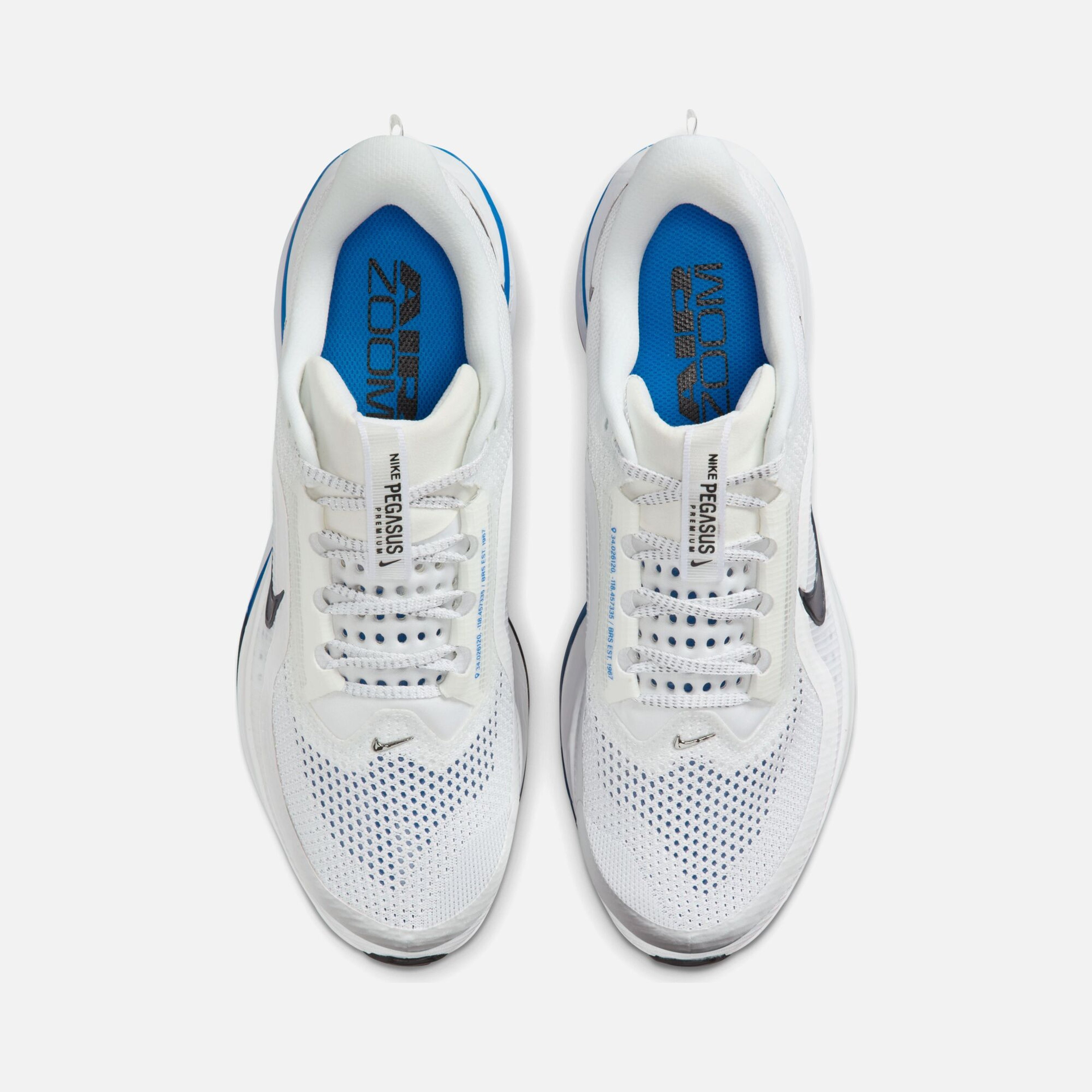 Nike Pegasus Premium Erkek Koşu Ayakkabısı