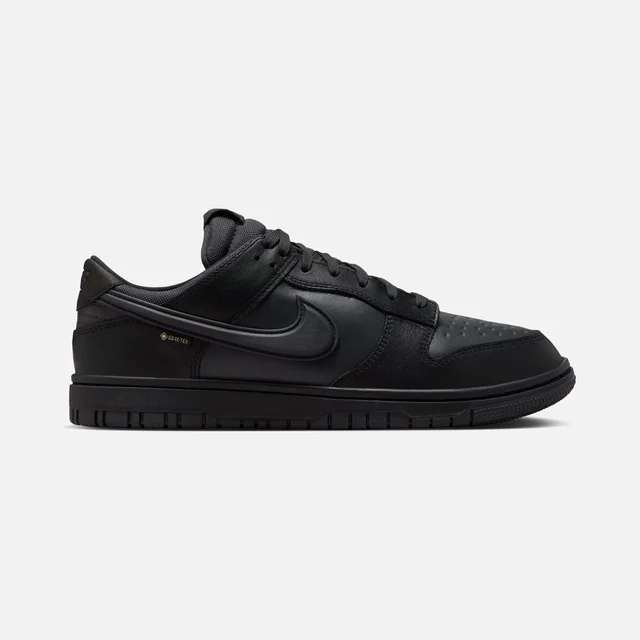 Nike Siyah Nike Dunk Low