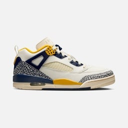 Nike Jordan Spizike Low Erkek Spor Ayakkabı