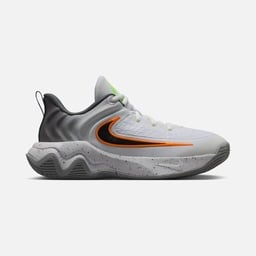 Nike Giannis Immortality 4 (Gs) Basketbol Ayakkabısı