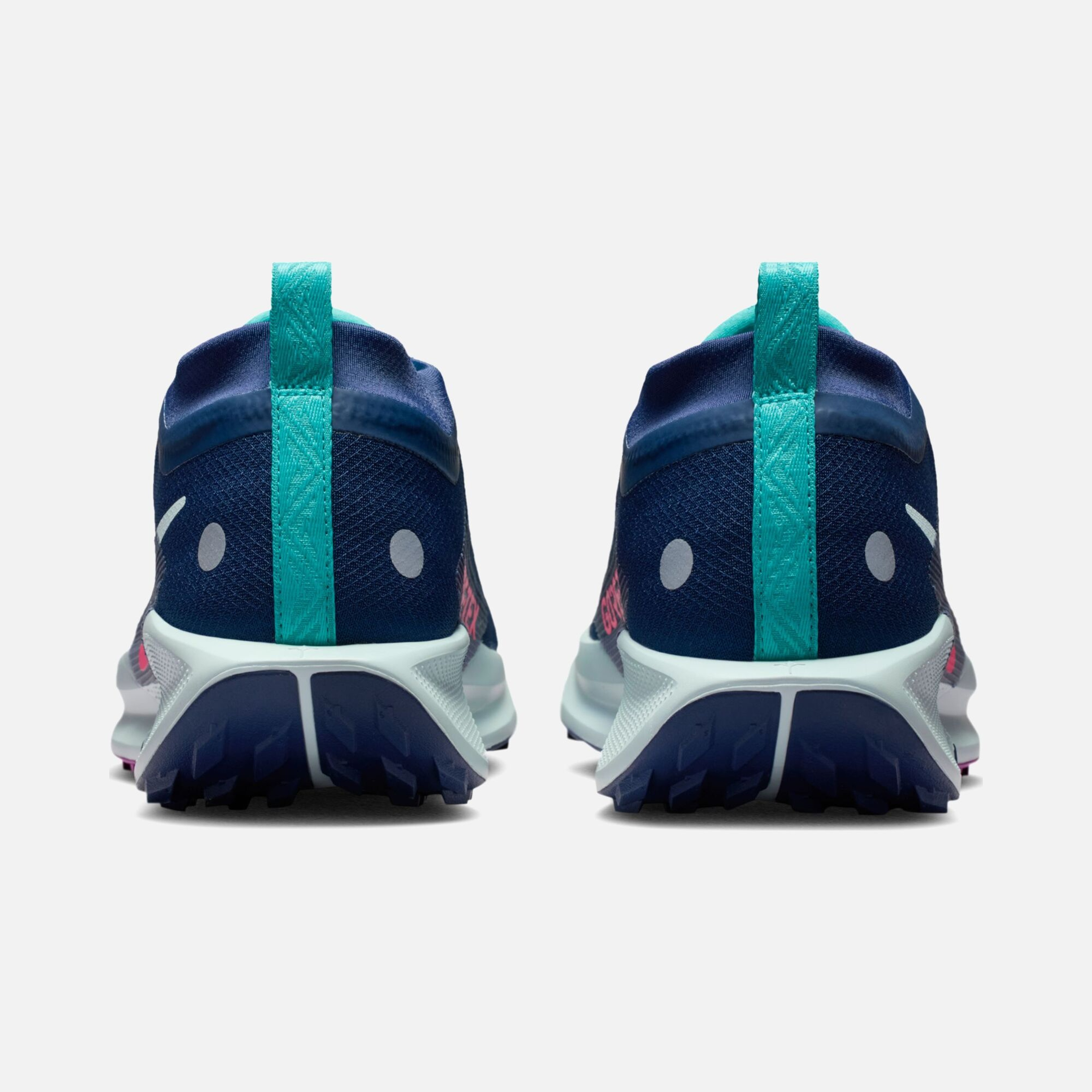 Nike Pegasus Trail 5 Gore-Tex Running Erkek Spor Ayakkabı