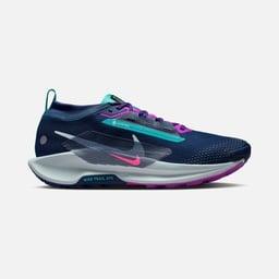 Nike Pegasus Trail 5 Gore-Tex Running Erkek Spor Ayakkabı