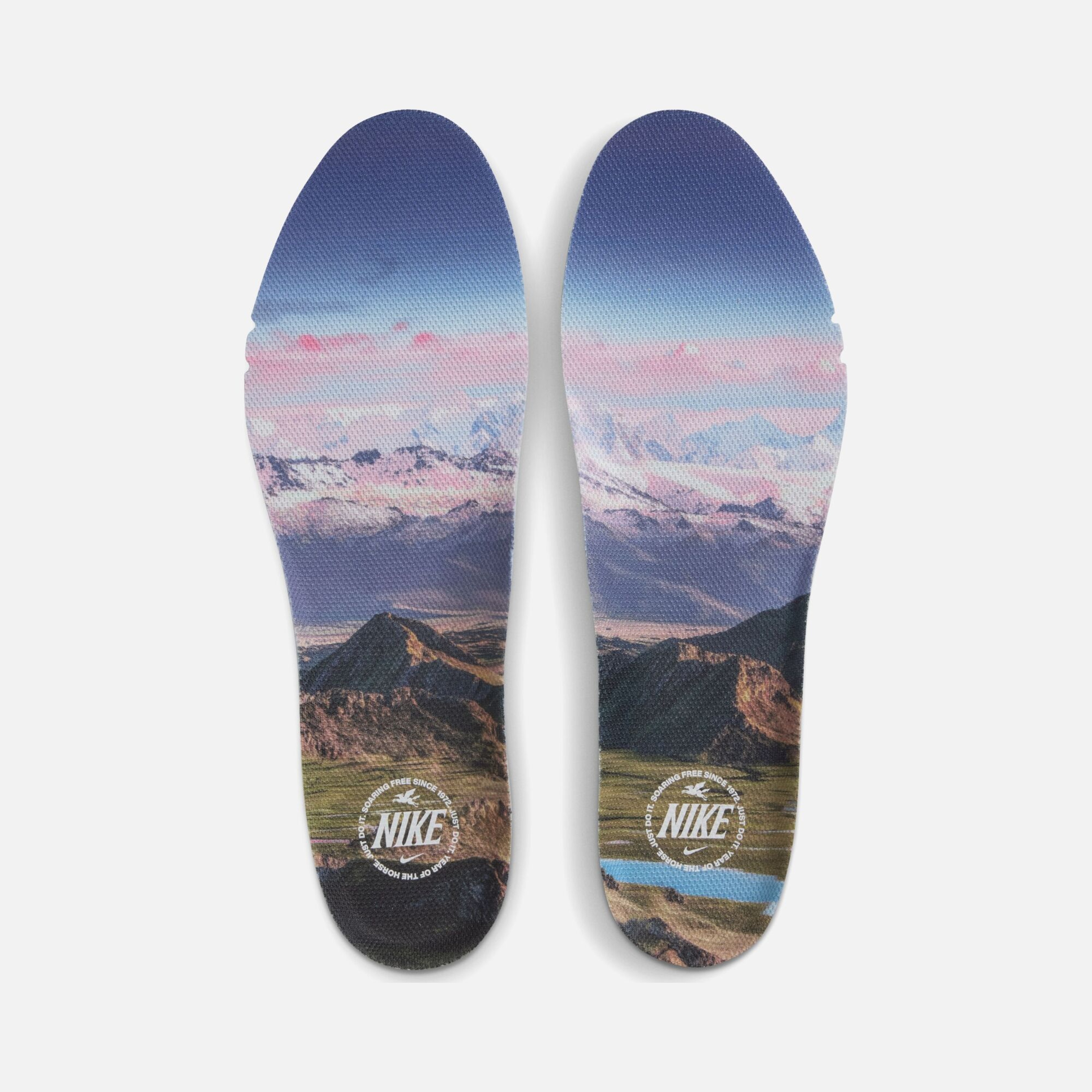 Nike Pegasus Premium Sp26 Erkek Koşu Ayakkabısı