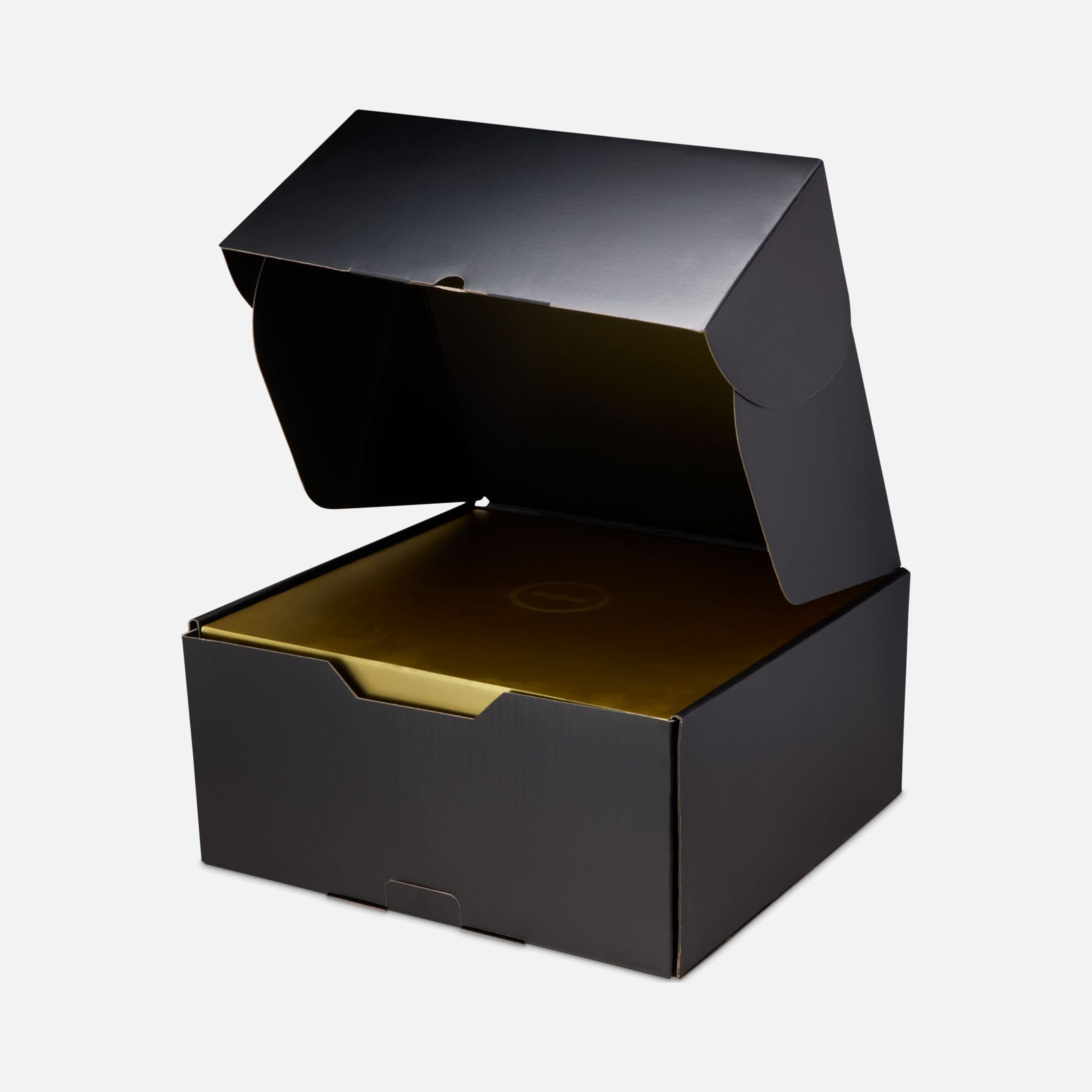 Nike LeBron James XXIII SP26 Erkek Basketbol Ayakkabısı