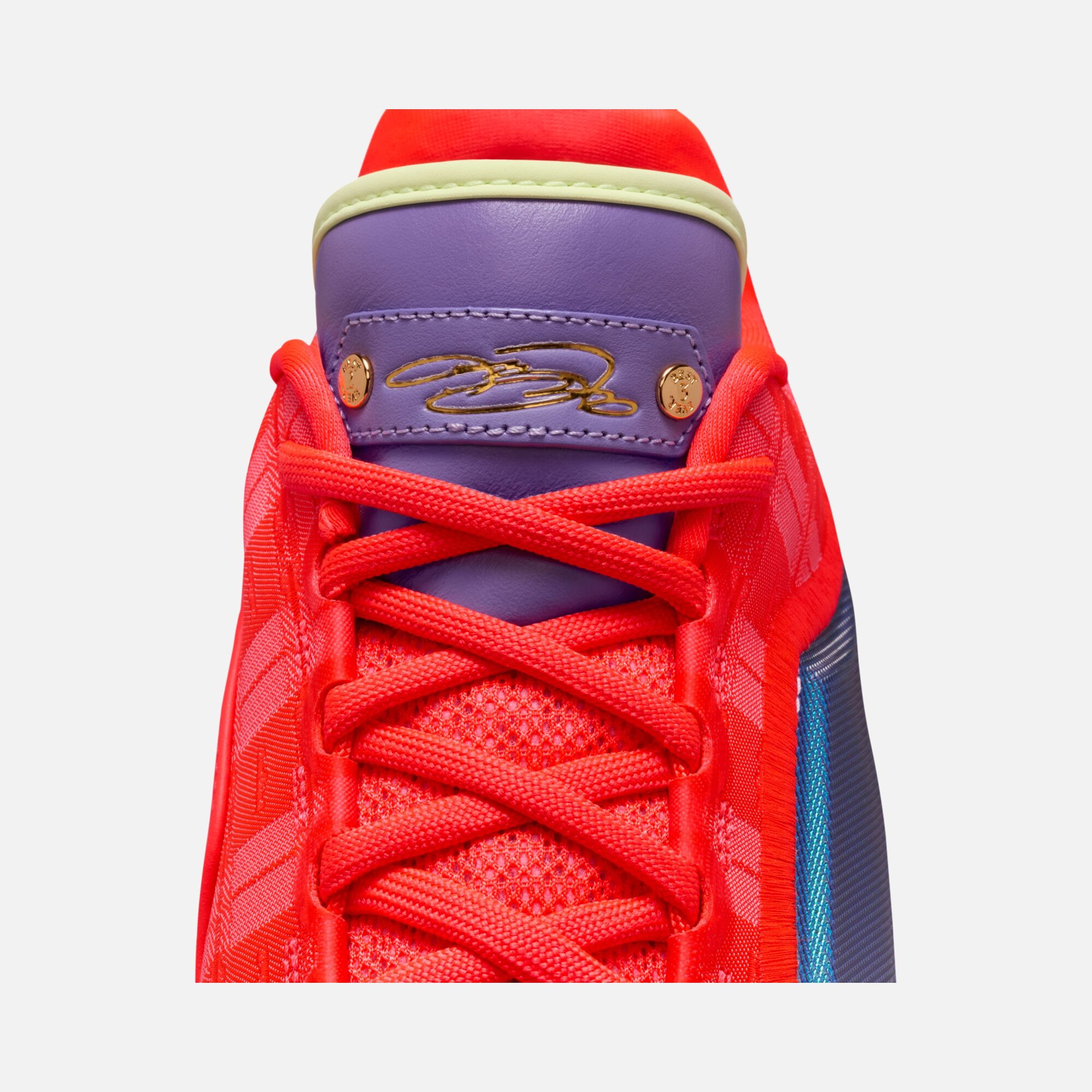 Nike LeBron James XXIII SP26 Erkek Basketbol Ayakkabısı