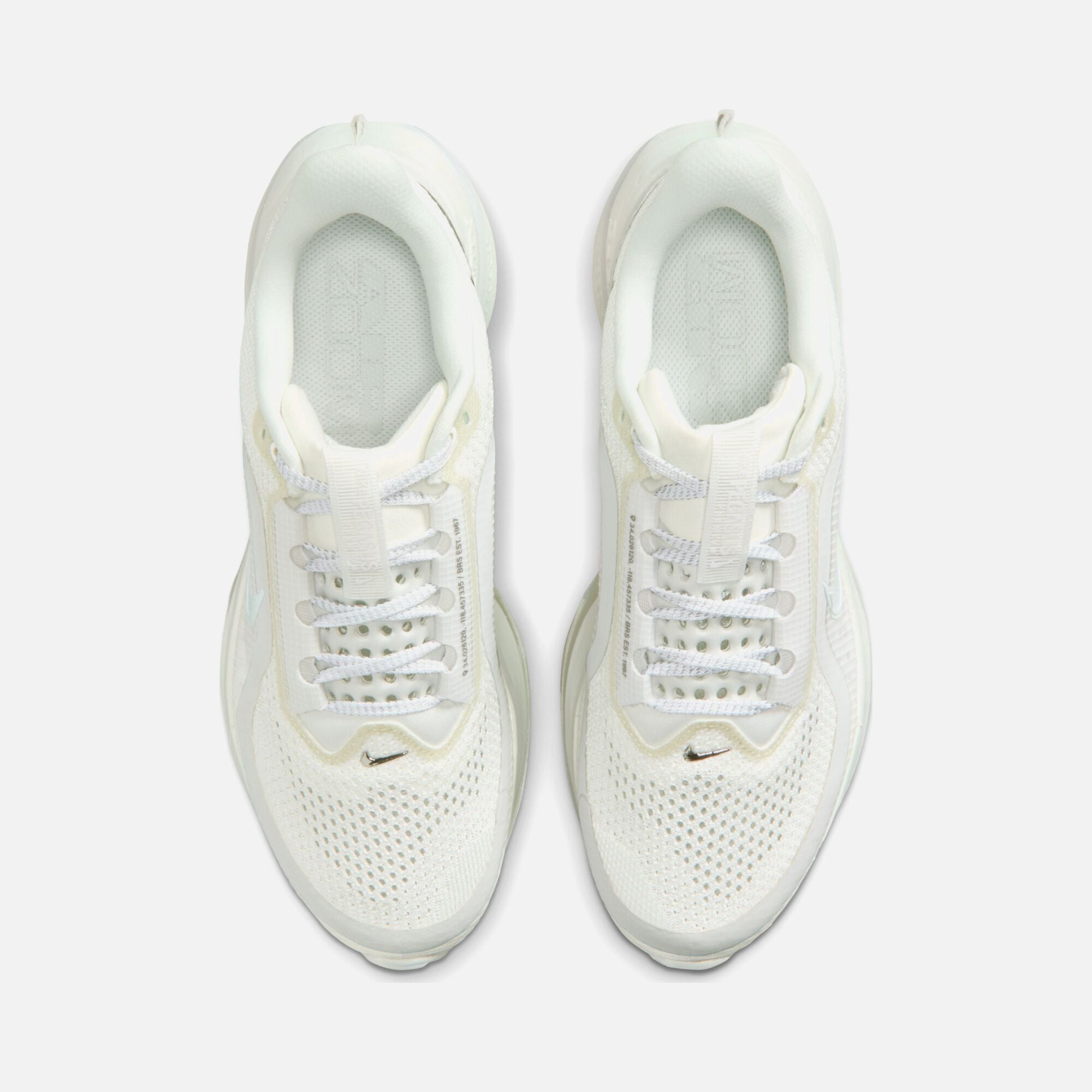 Nike Pegasus Premium Ess W Kadın Spor Ayakkabı