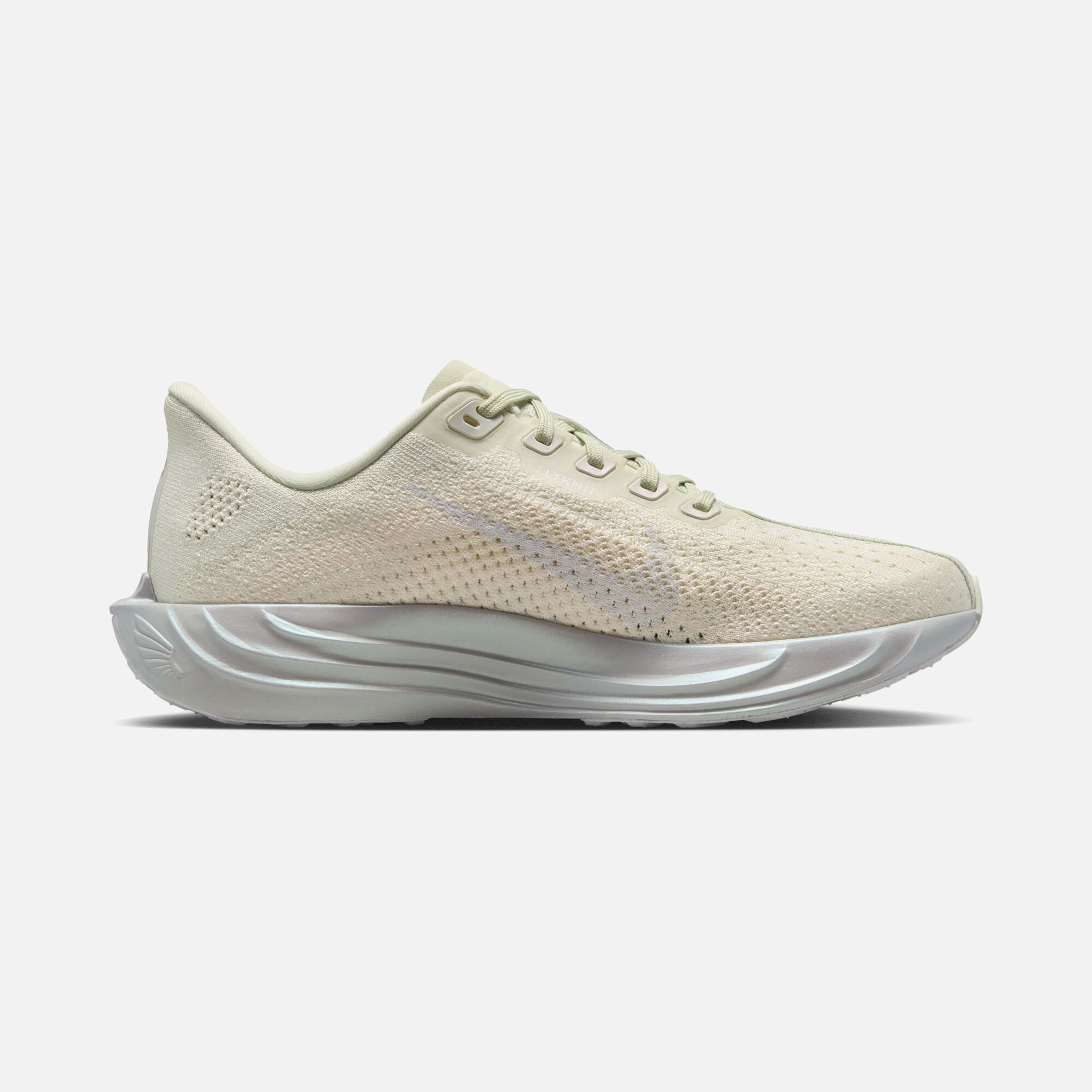 Nike Pegasus Plus Ess W Kadın Koşu Ayakkabısı