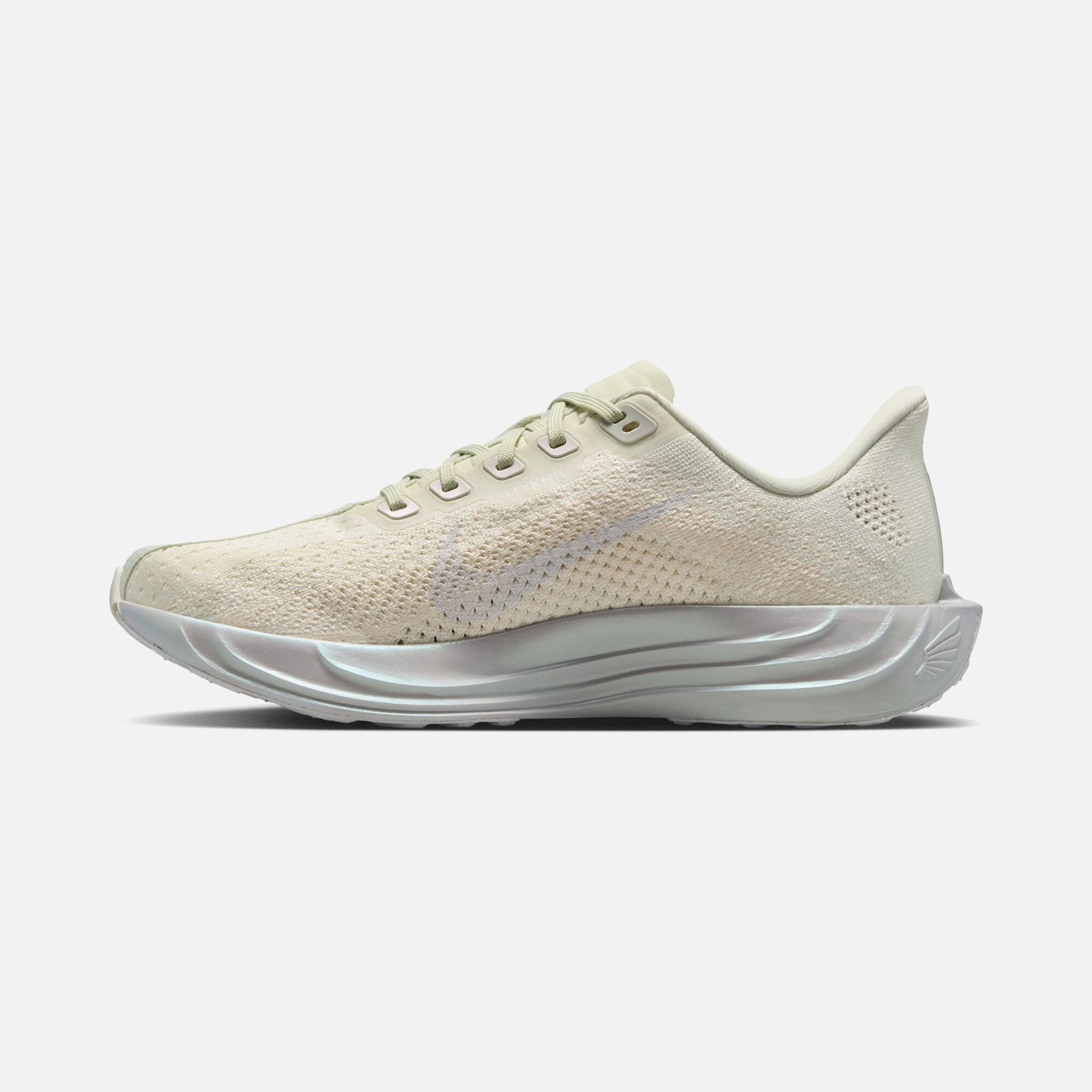 Nike Pegasus Plus Ess W Kadın Koşu Ayakkabısı