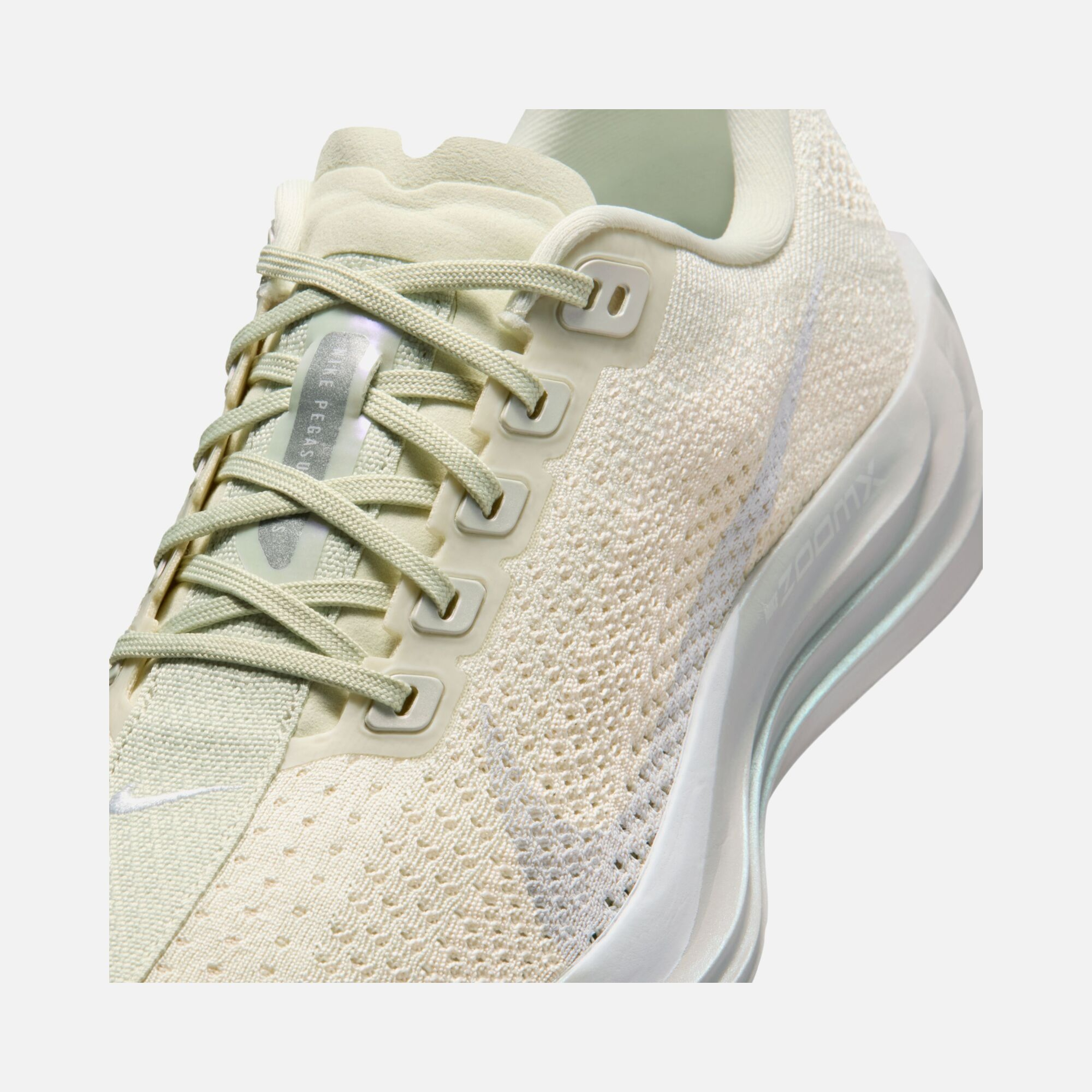 Nike Pegasus Plus Ess W Kadın Koşu Ayakkabısı