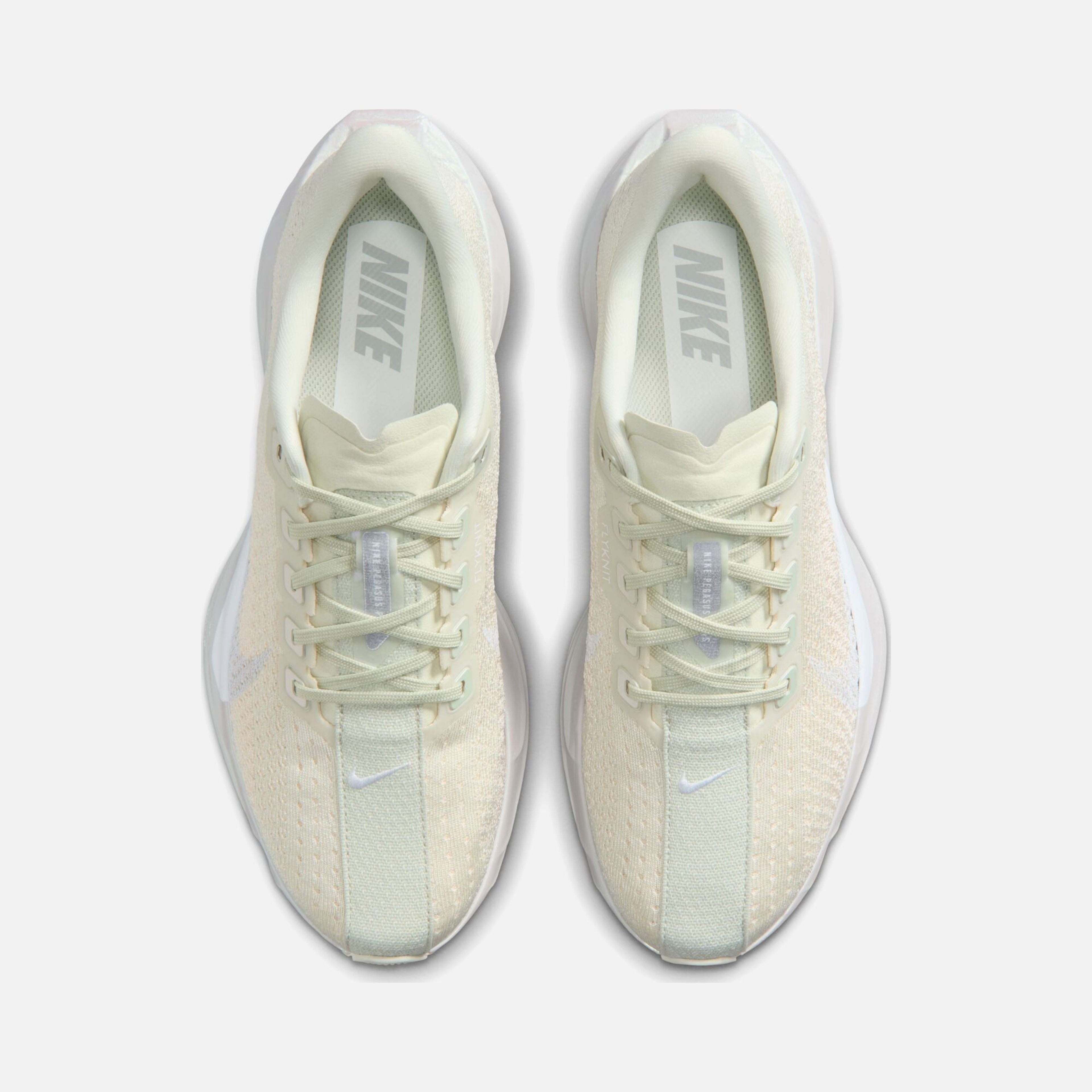 Nike Pegasus Plus Ess W Kadın Koşu Ayakkabısı