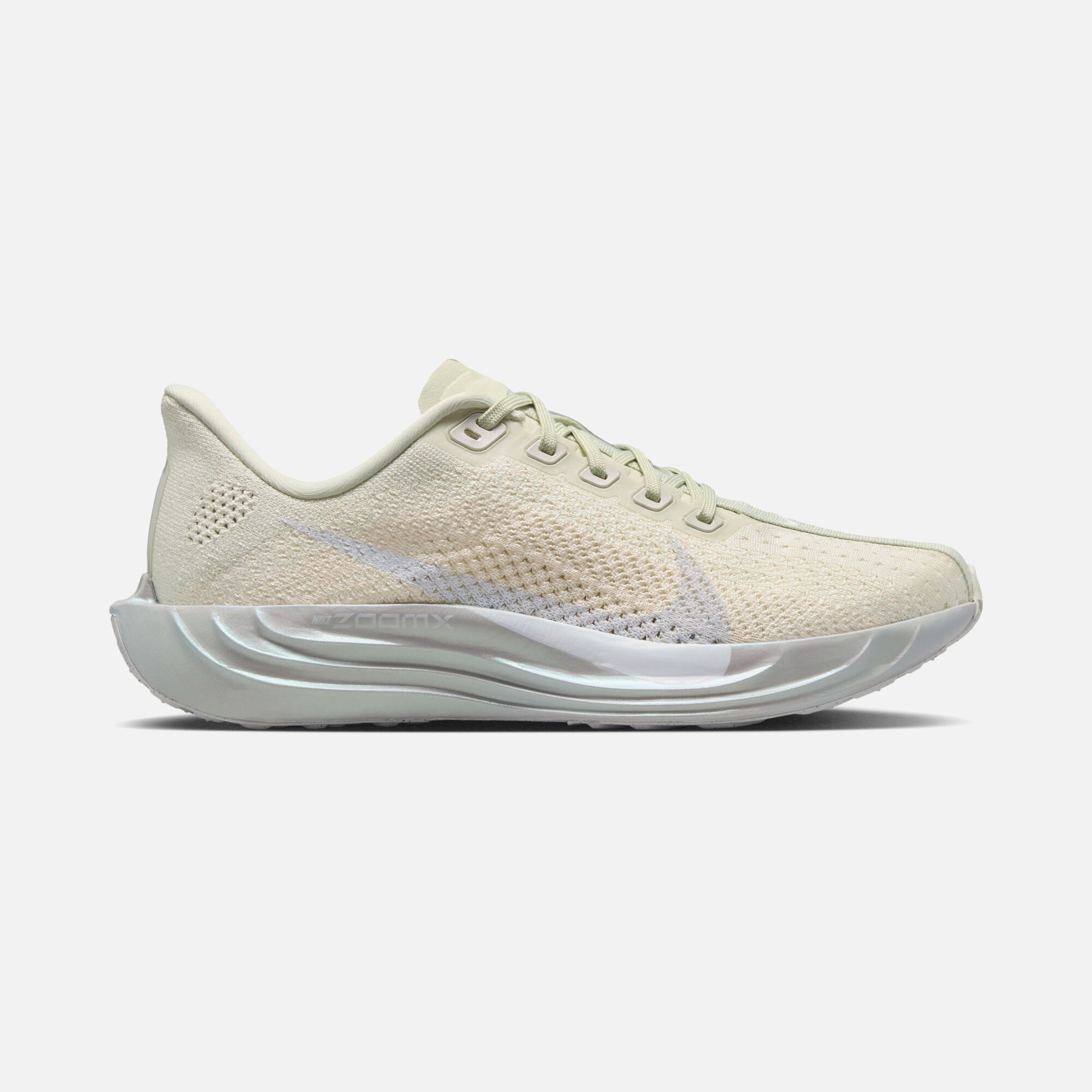 Nike Pegasus Plus Ess W Kadın Koşu Ayakkabısı