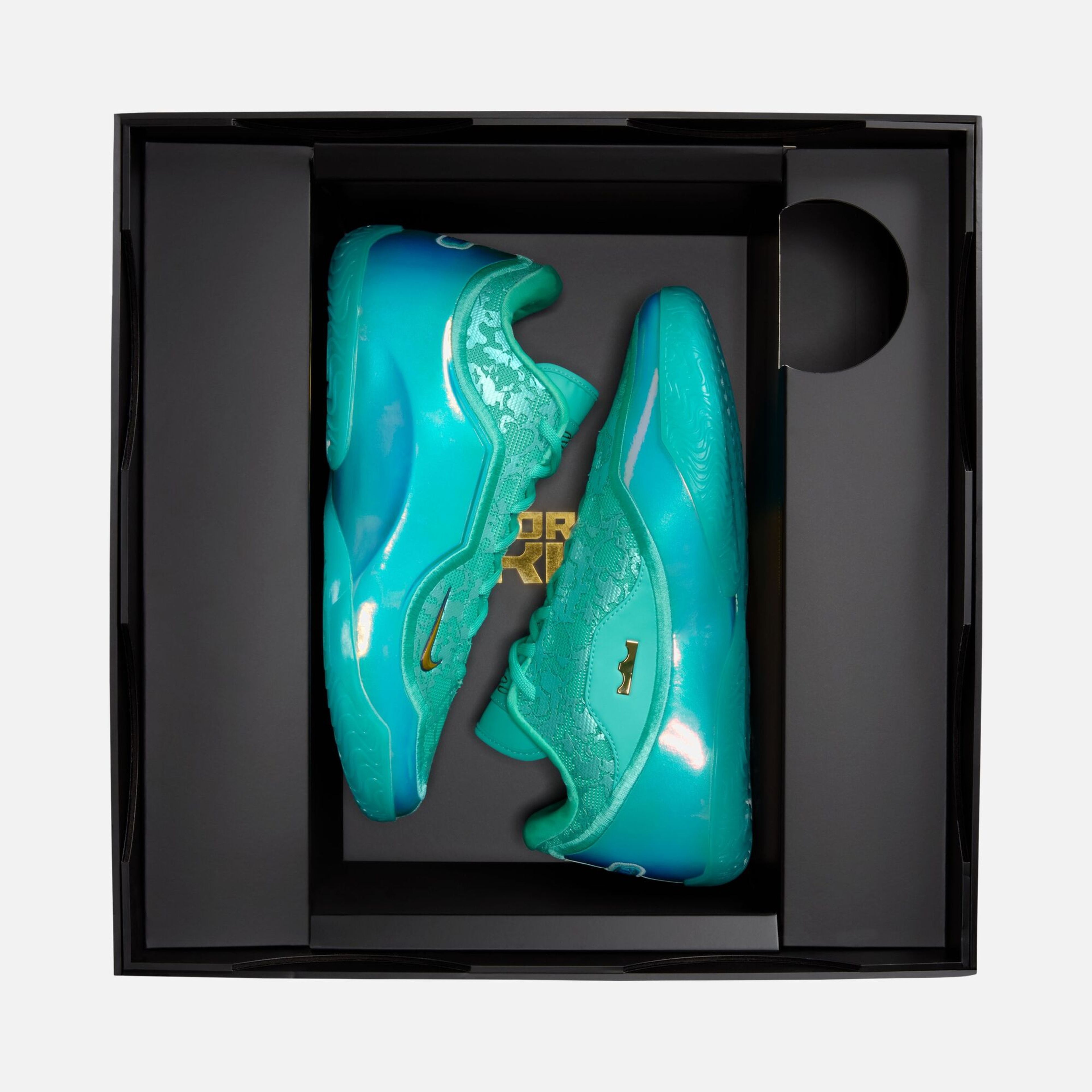 Nike LeBron James XXIII SP26 Erkek Basketbol Ayakkabısı