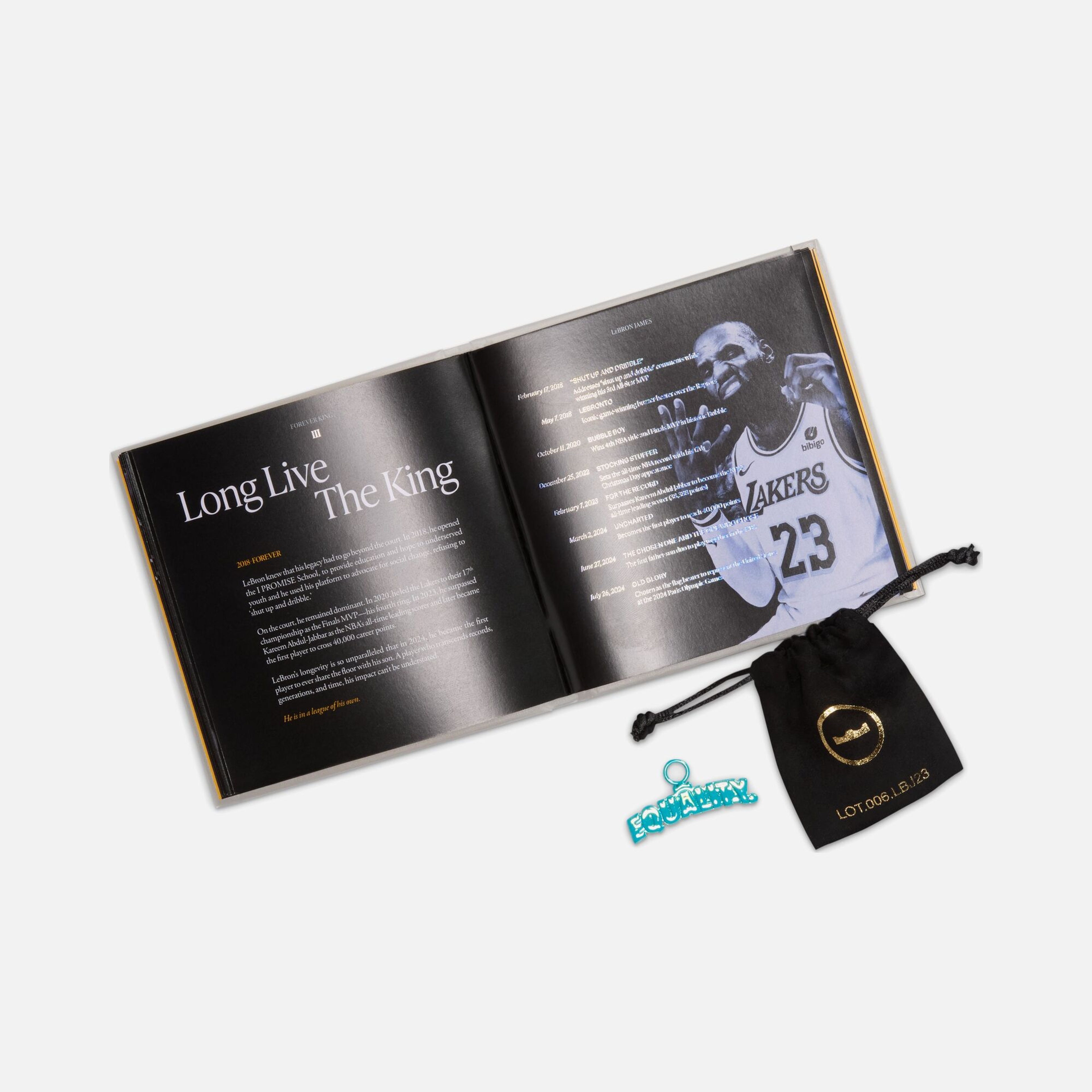 Nike LeBron James XXIII SP26 Erkek Basketbol Ayakkabısı