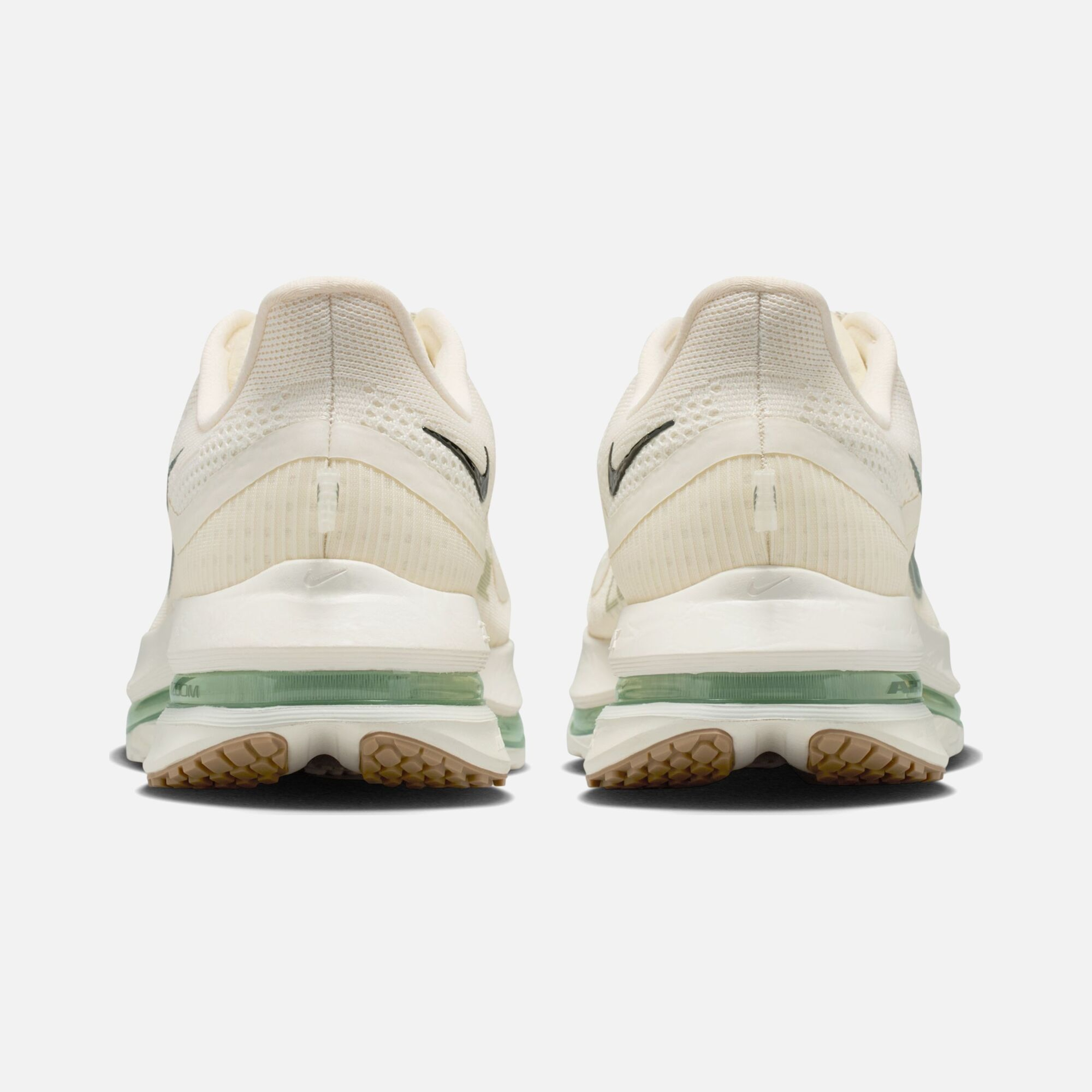 Nike Pegasus Premium Erkek Koşu Ayakkabısı