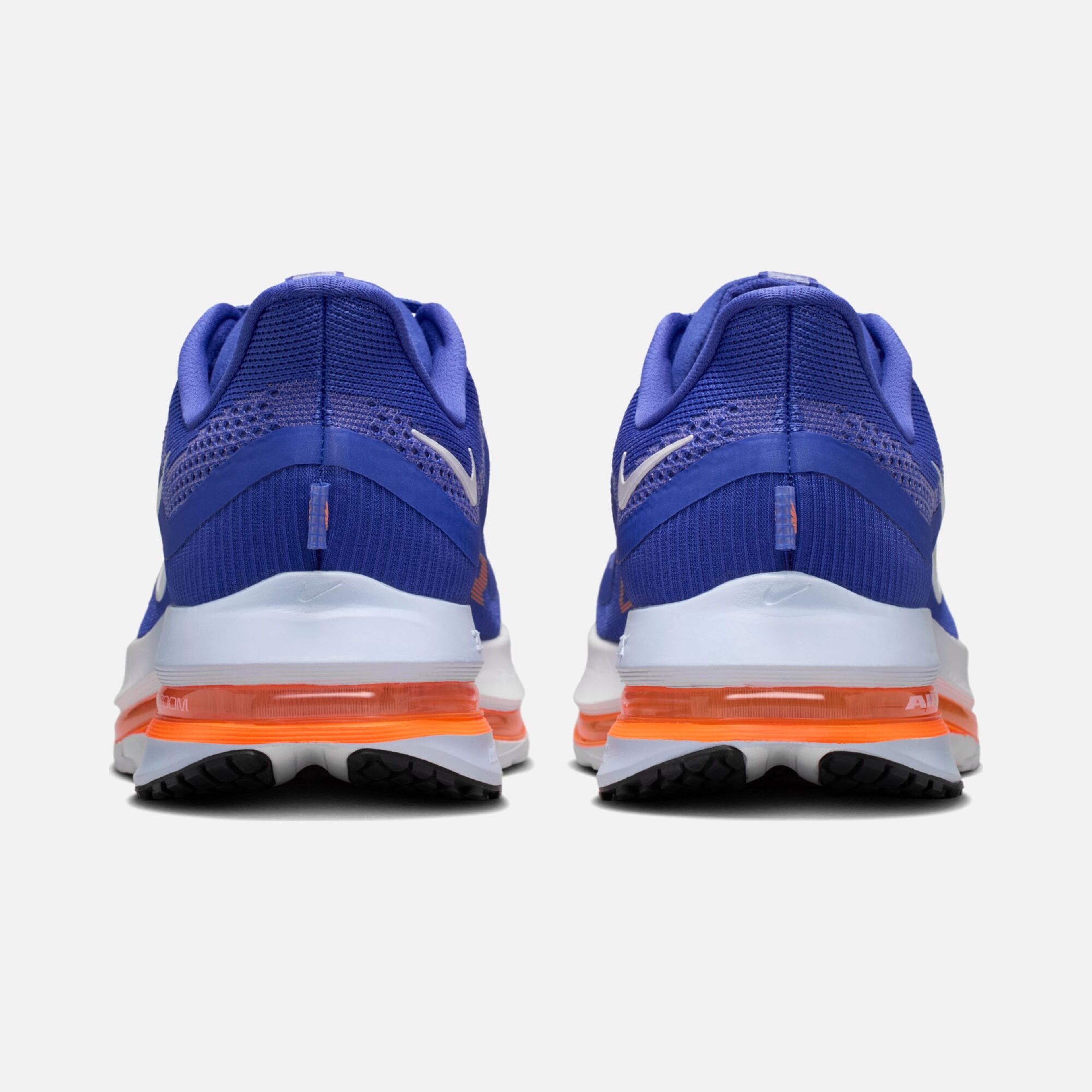 Nike Pegasus Premium Erkek Koşu Ayakkabısı