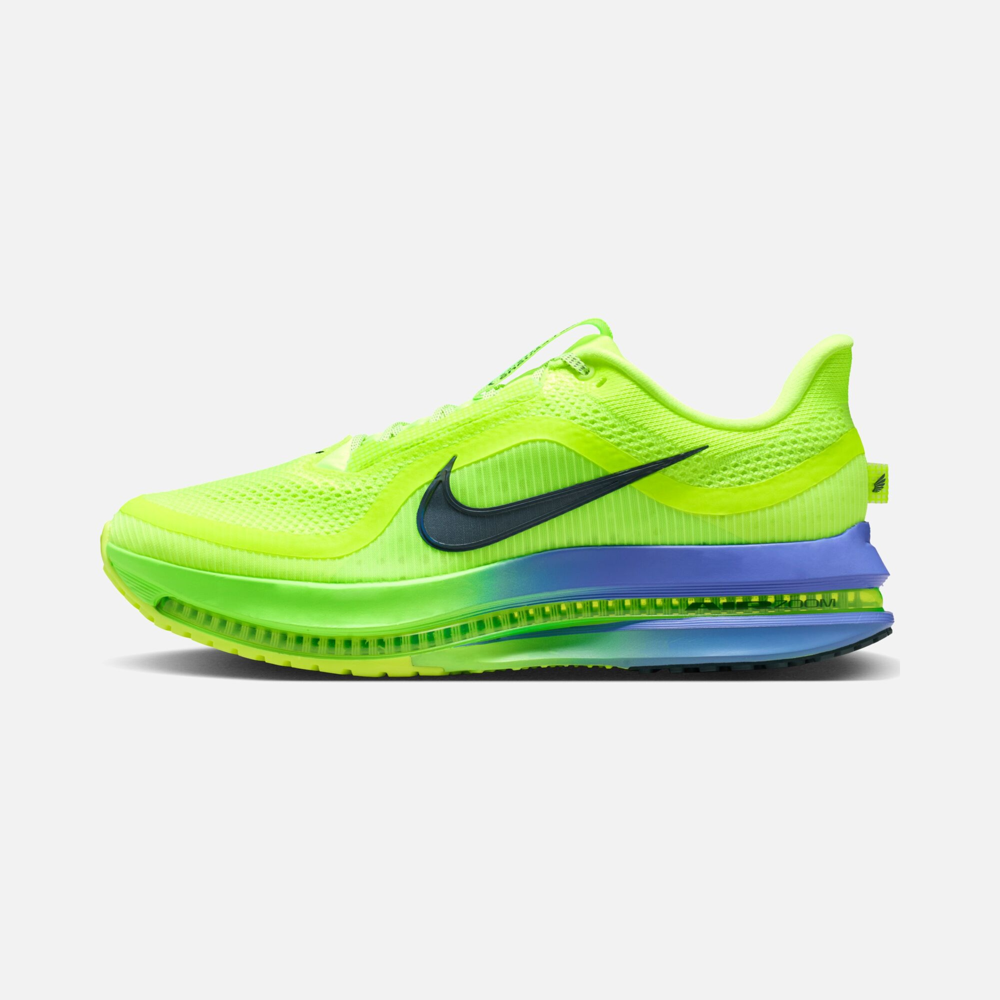 Nike Pegasus Premium Erkek Koşu Ayakkabısı