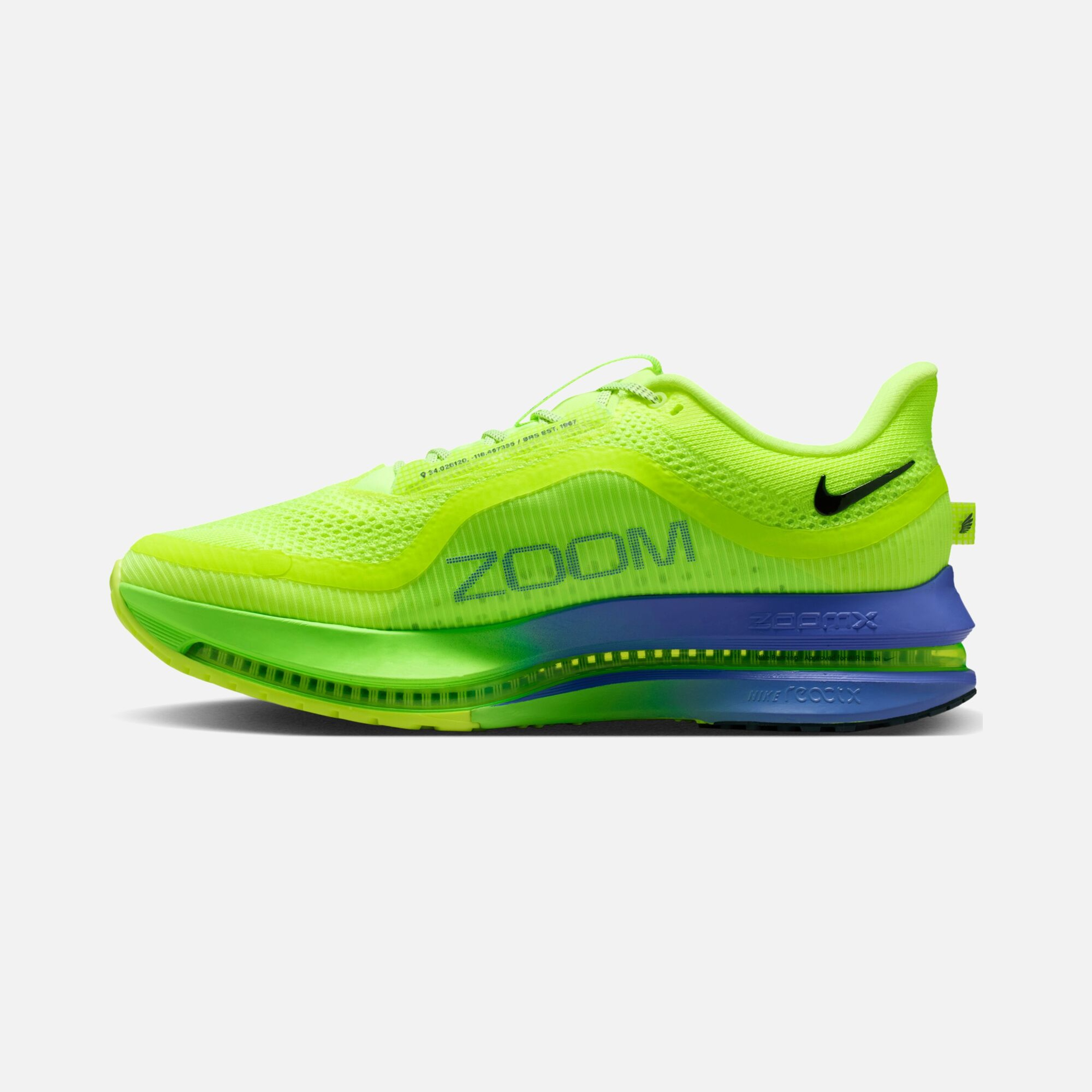 Nike Pegasus Premium Erkek Koşu Ayakkabısı