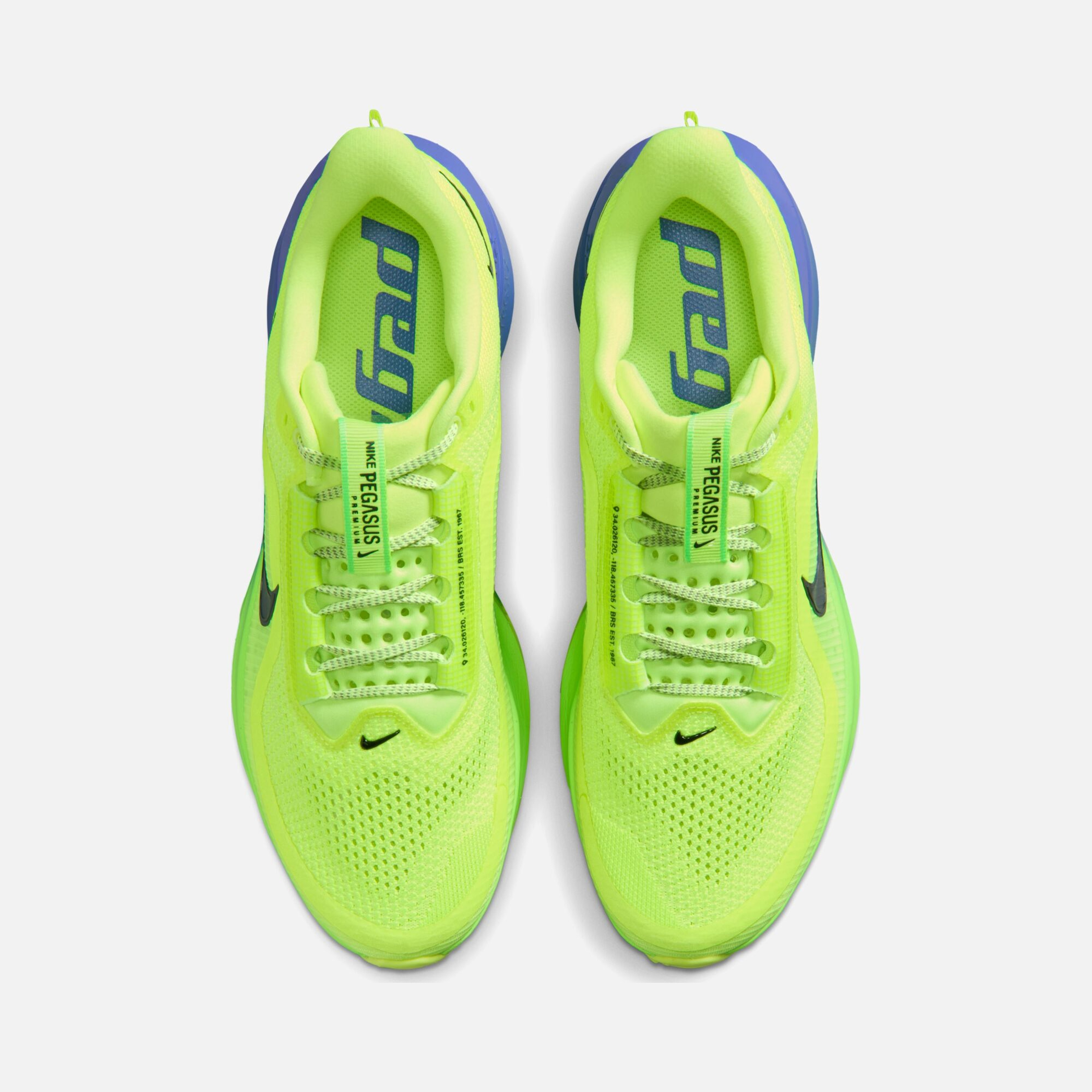 Nike Pegasus Premium Erkek Koşu Ayakkabısı