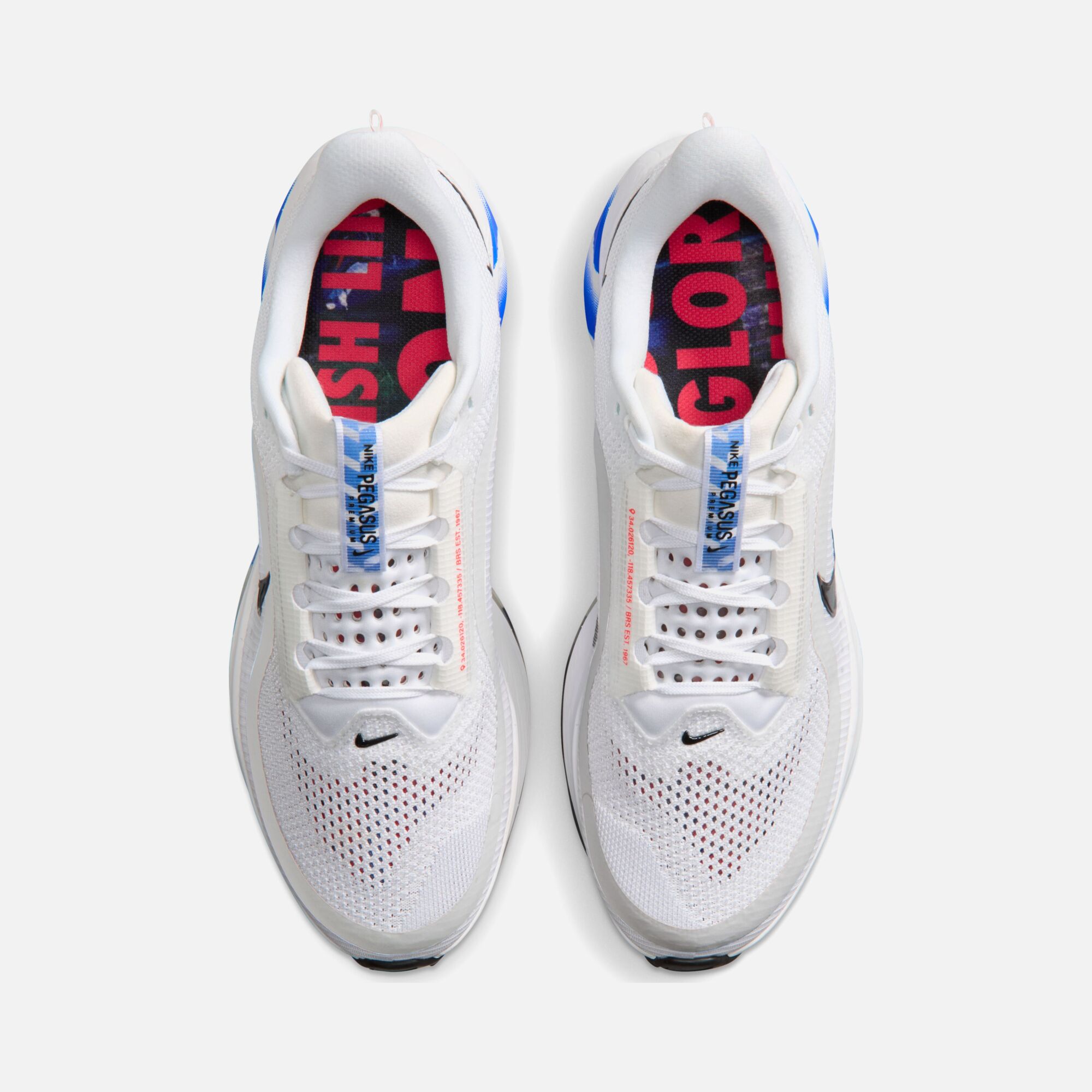 Nike Pegasus Premium Cm Erkek Koşu Ayakkabı