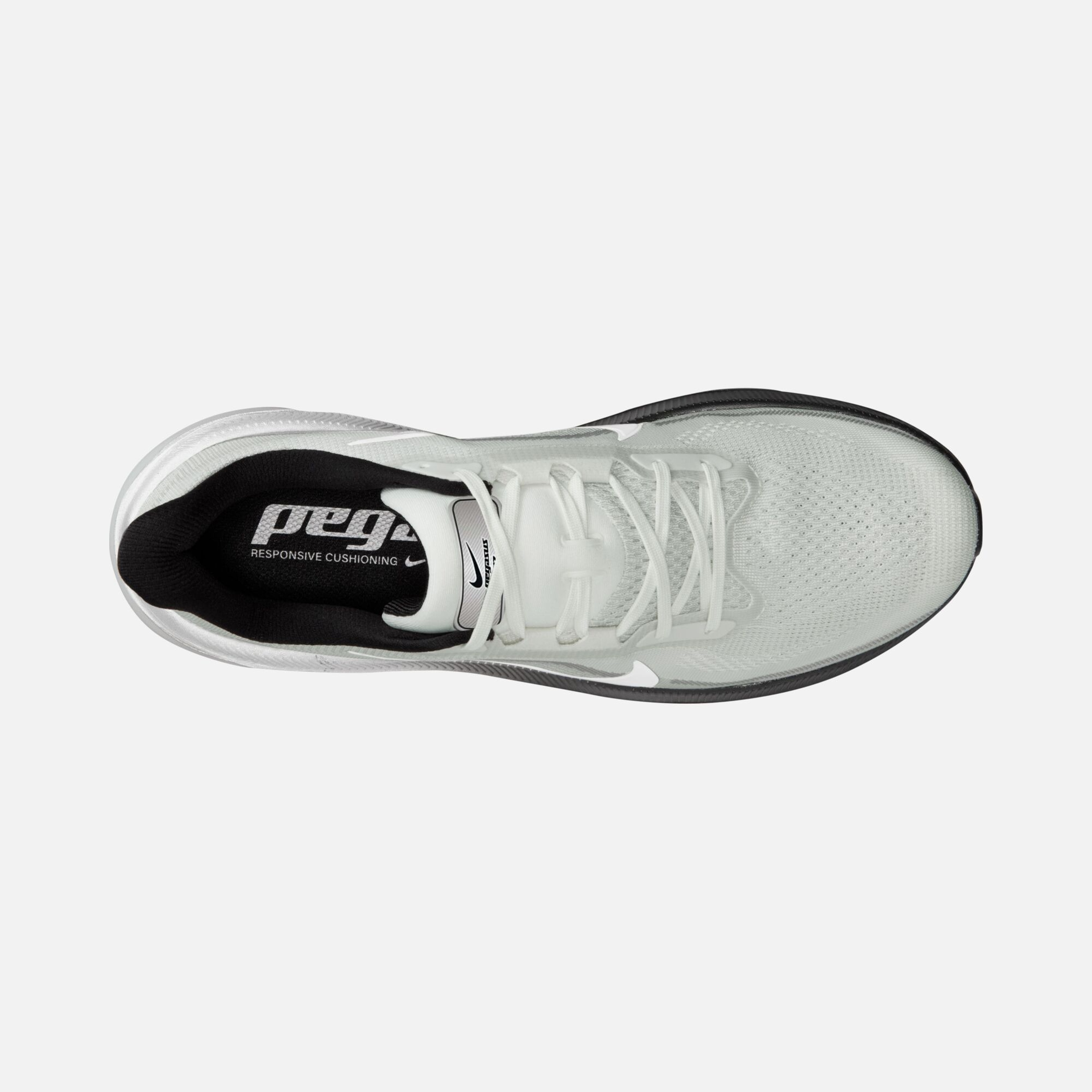 Nike Air Zoom Pegasus 42 Rr Erkek Koşu Ayakkabı