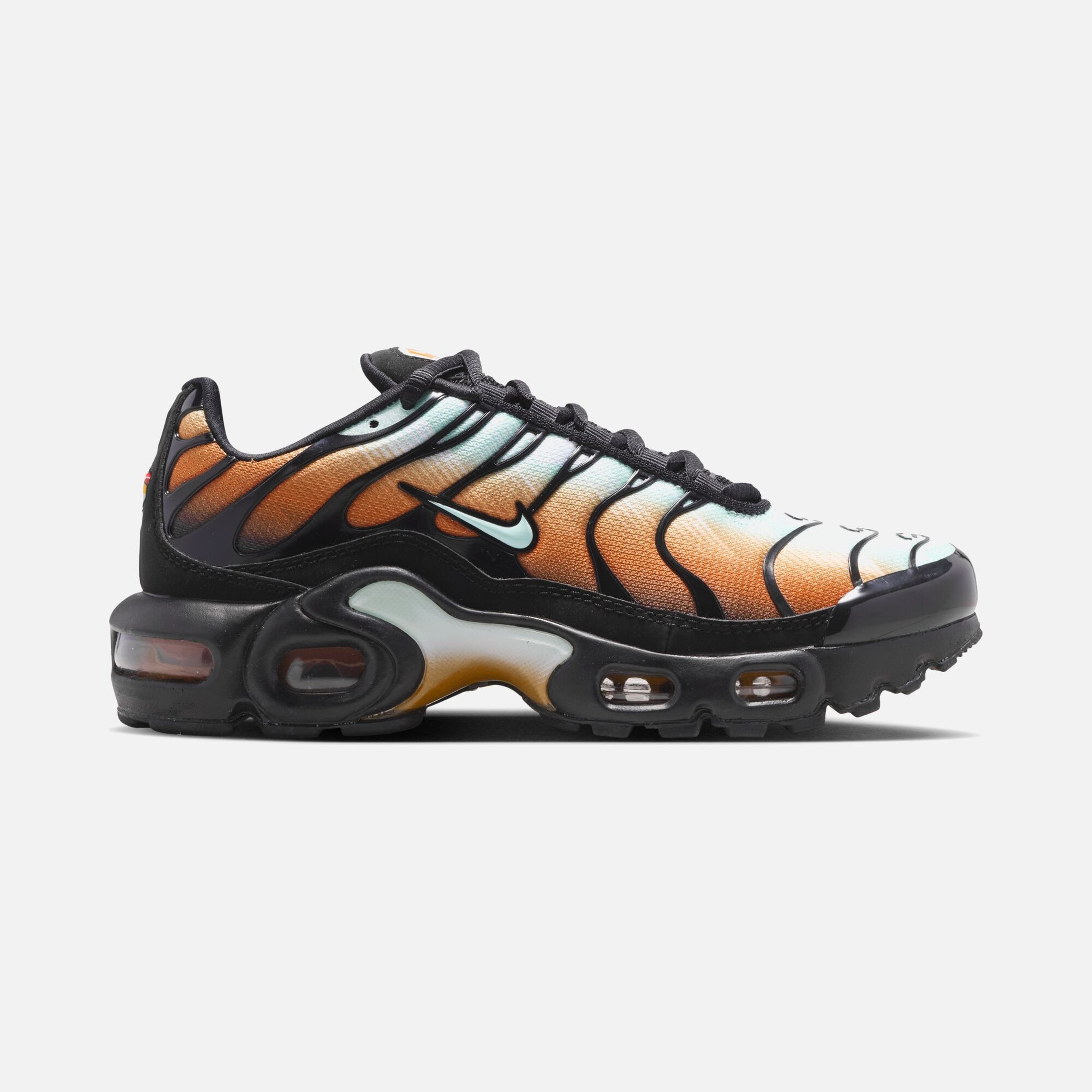 Nike Air Max Plus Se Wc 2 Bg Çocuk Ayakkabısı