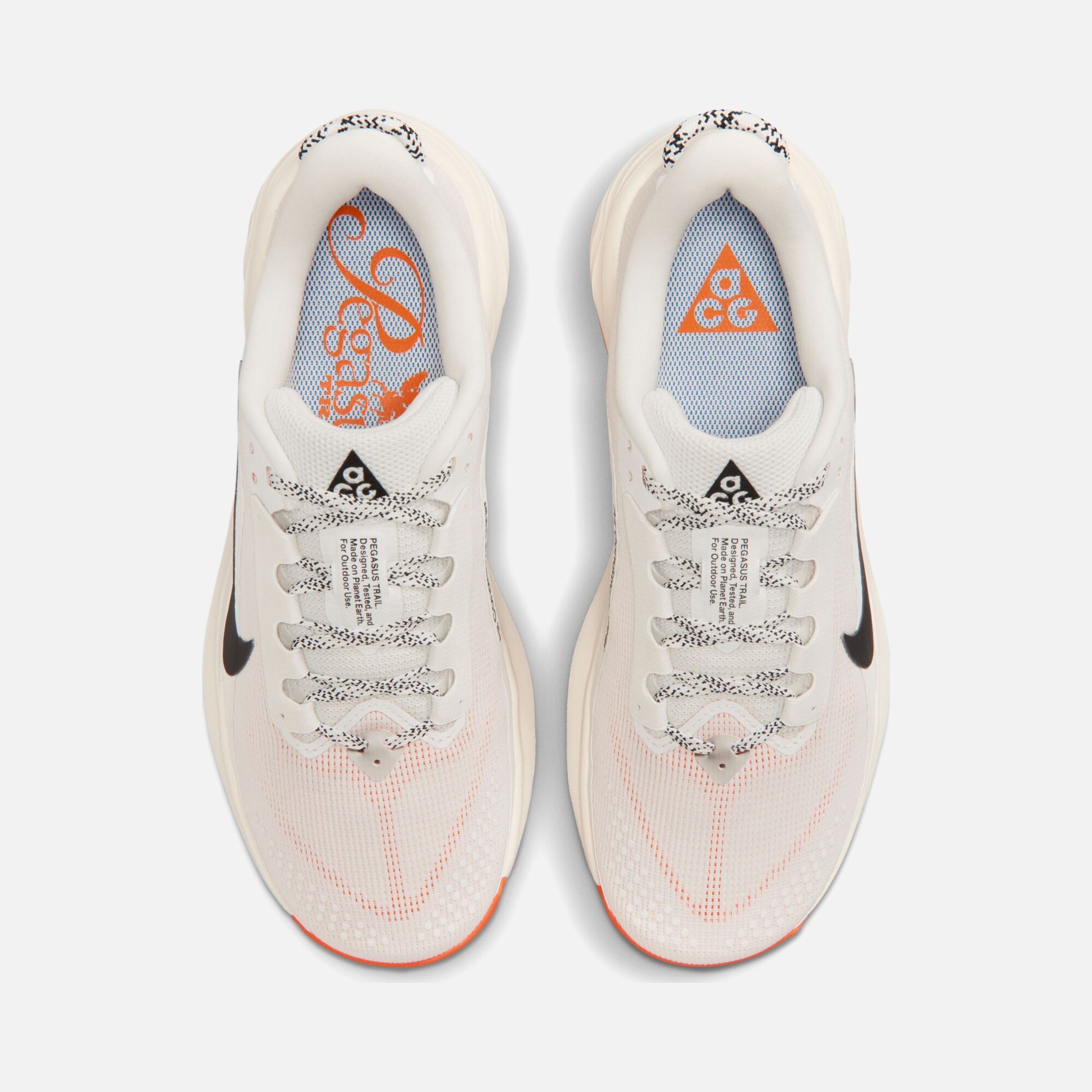 Nike Acg Pegasus Trail Kadın Spor Ayakkabı