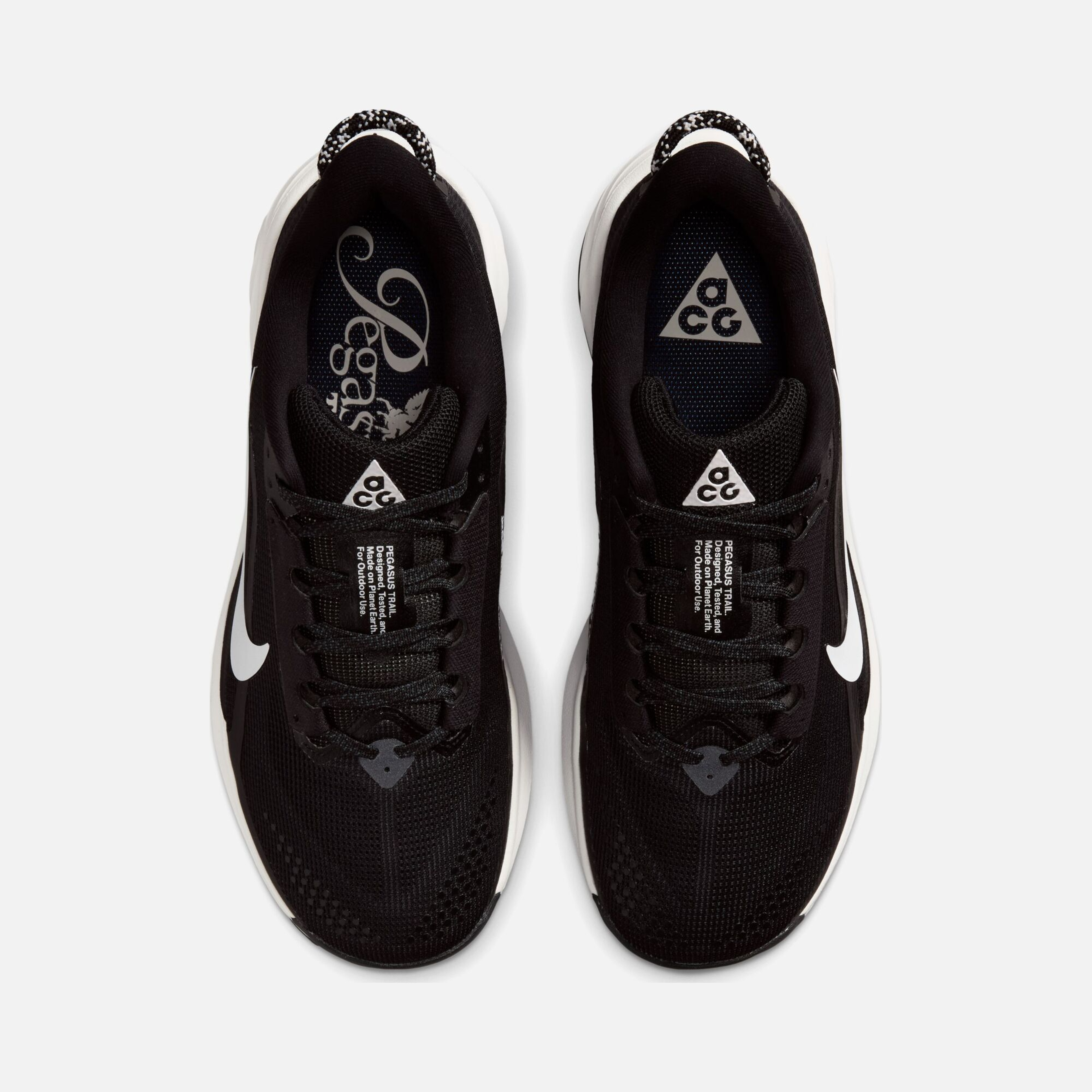 Nike Acg Pegasus Trail Kadın Spor Ayakkabı