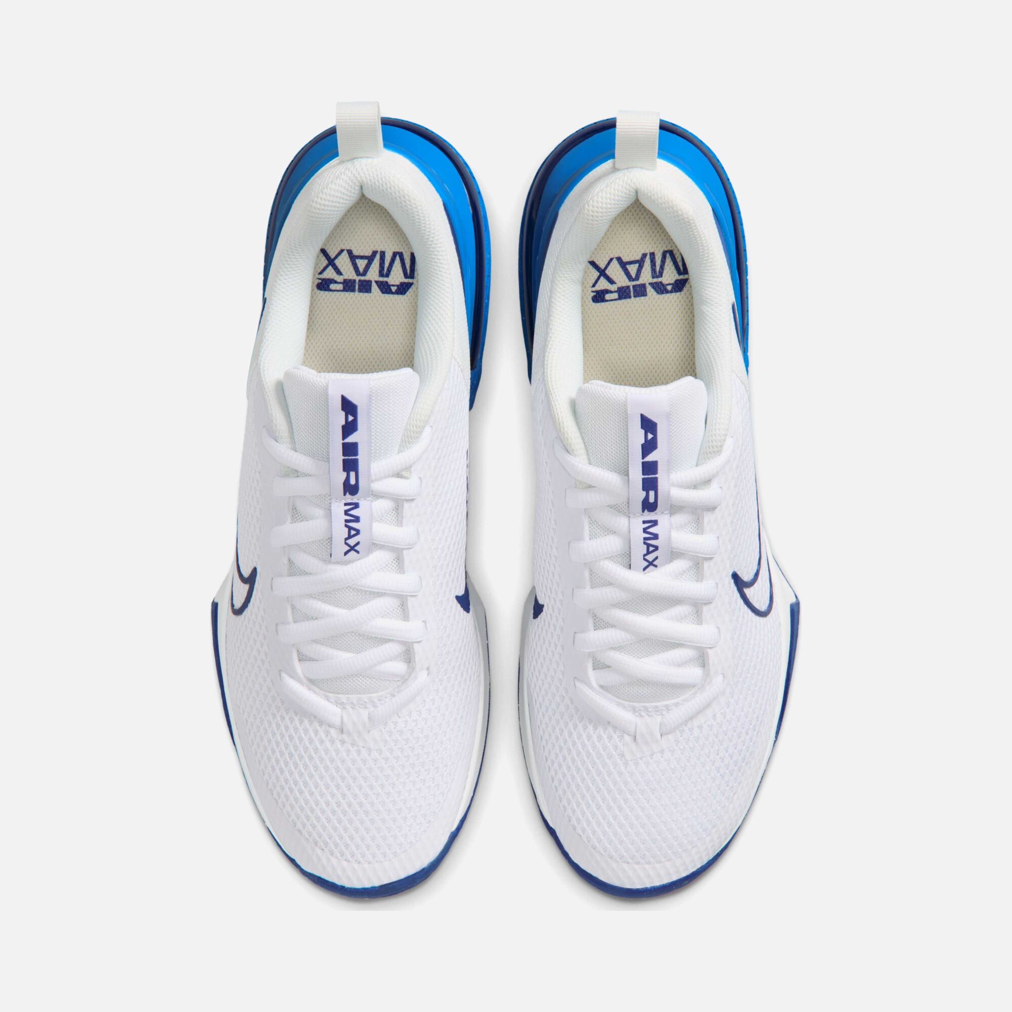 Nike Air Max Alpha Trainer 6 Workout Erkek Spor Ayakkabı