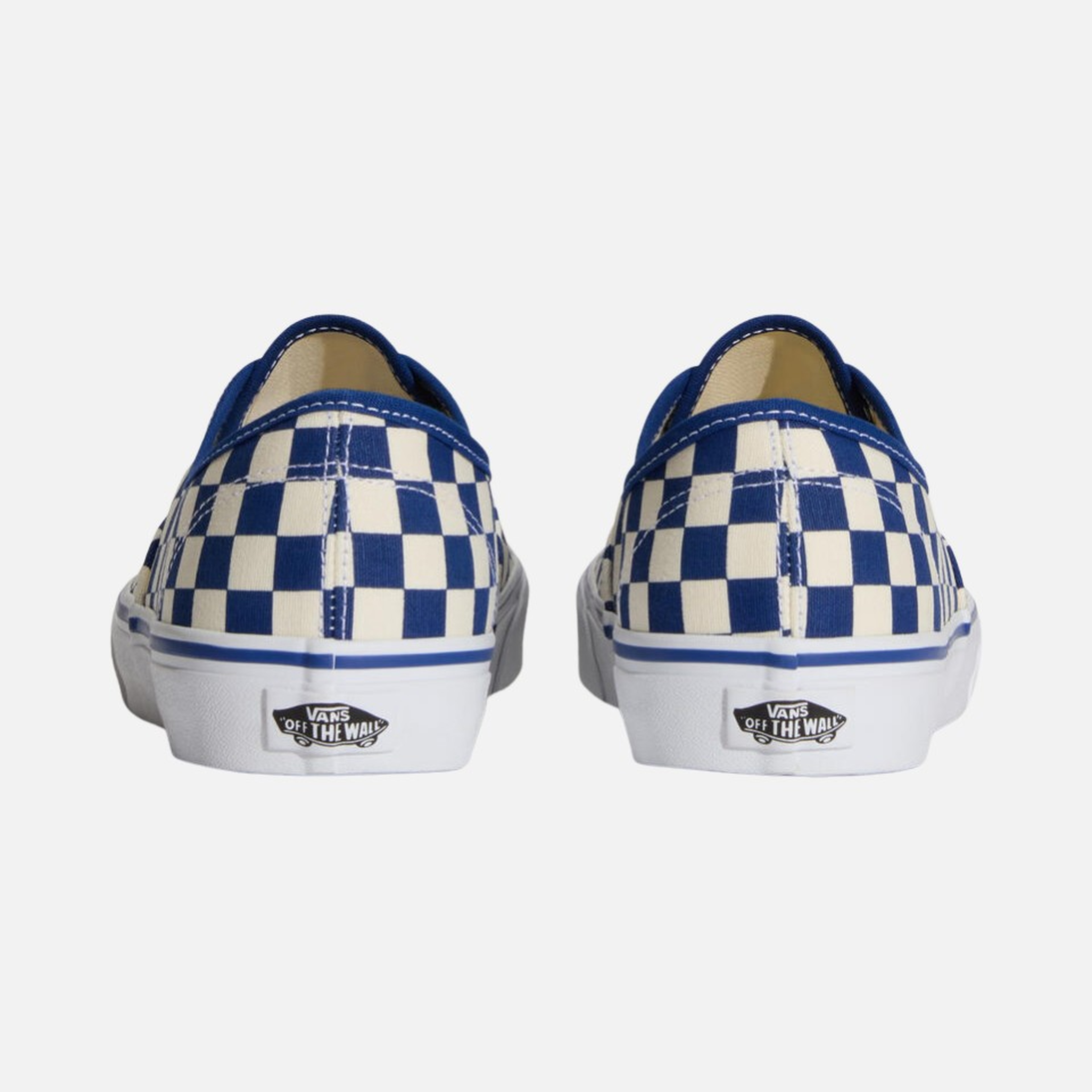 Vans Authentic Erkek Spor Ayakkabı