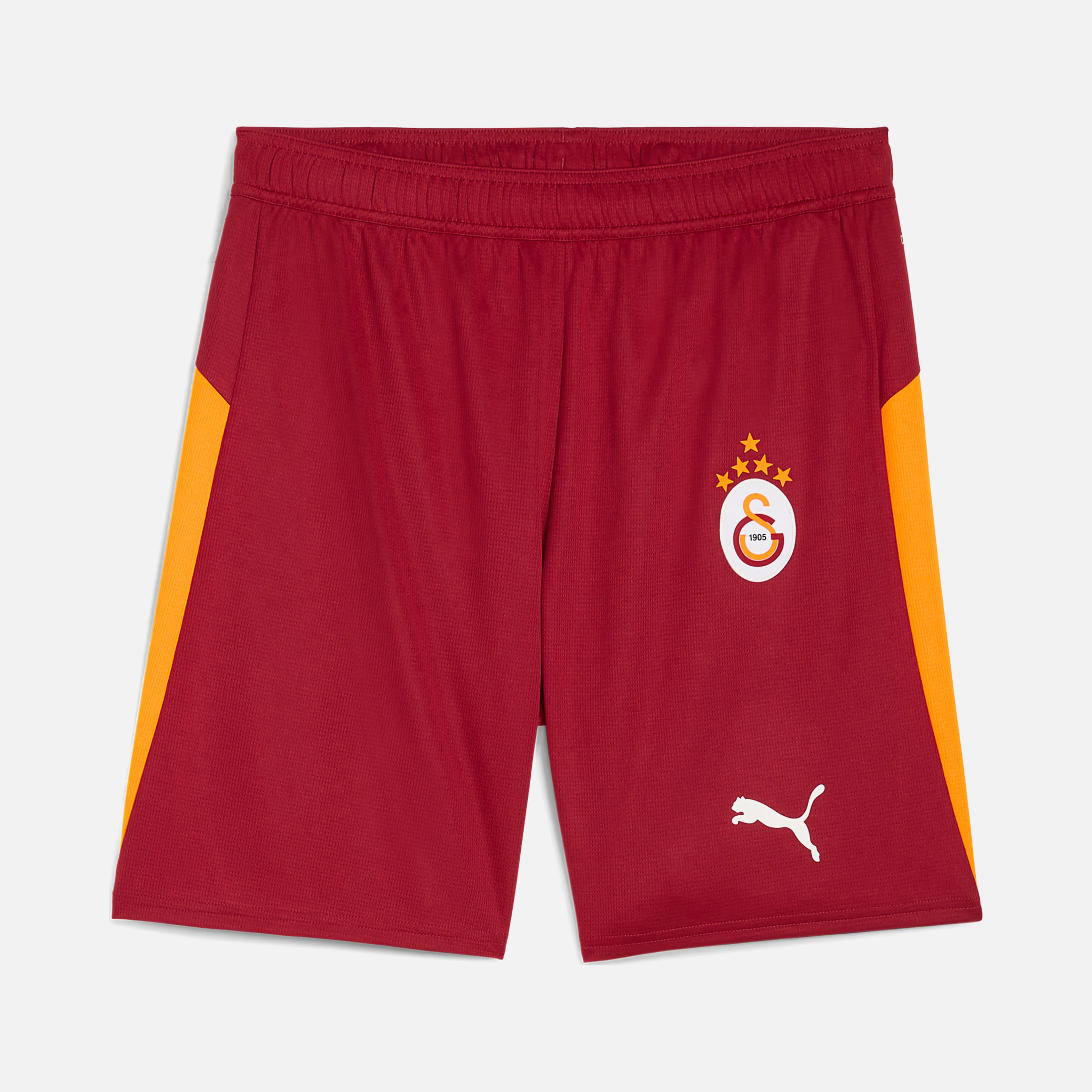 Puma 25/26 Galatasaray Erkek Futbol Şort