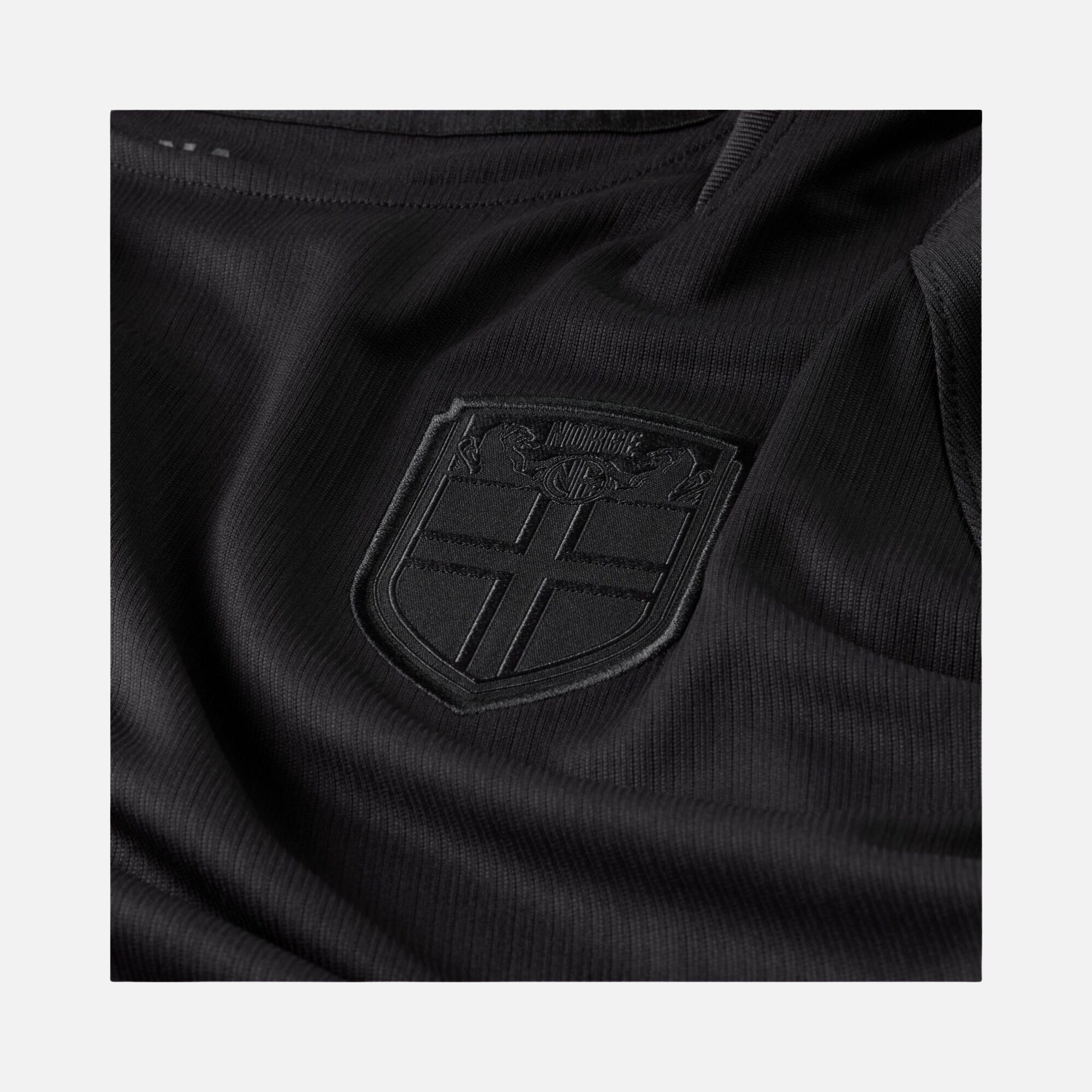 Nike Norveç 2026 Deplasman Dri-FIT Erkek Forma