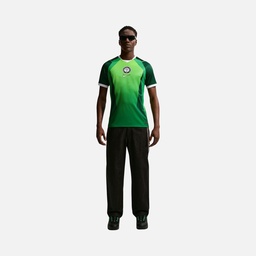 Nike Nijerya 2026 İç Saha Dri-FIT Erkek Forma