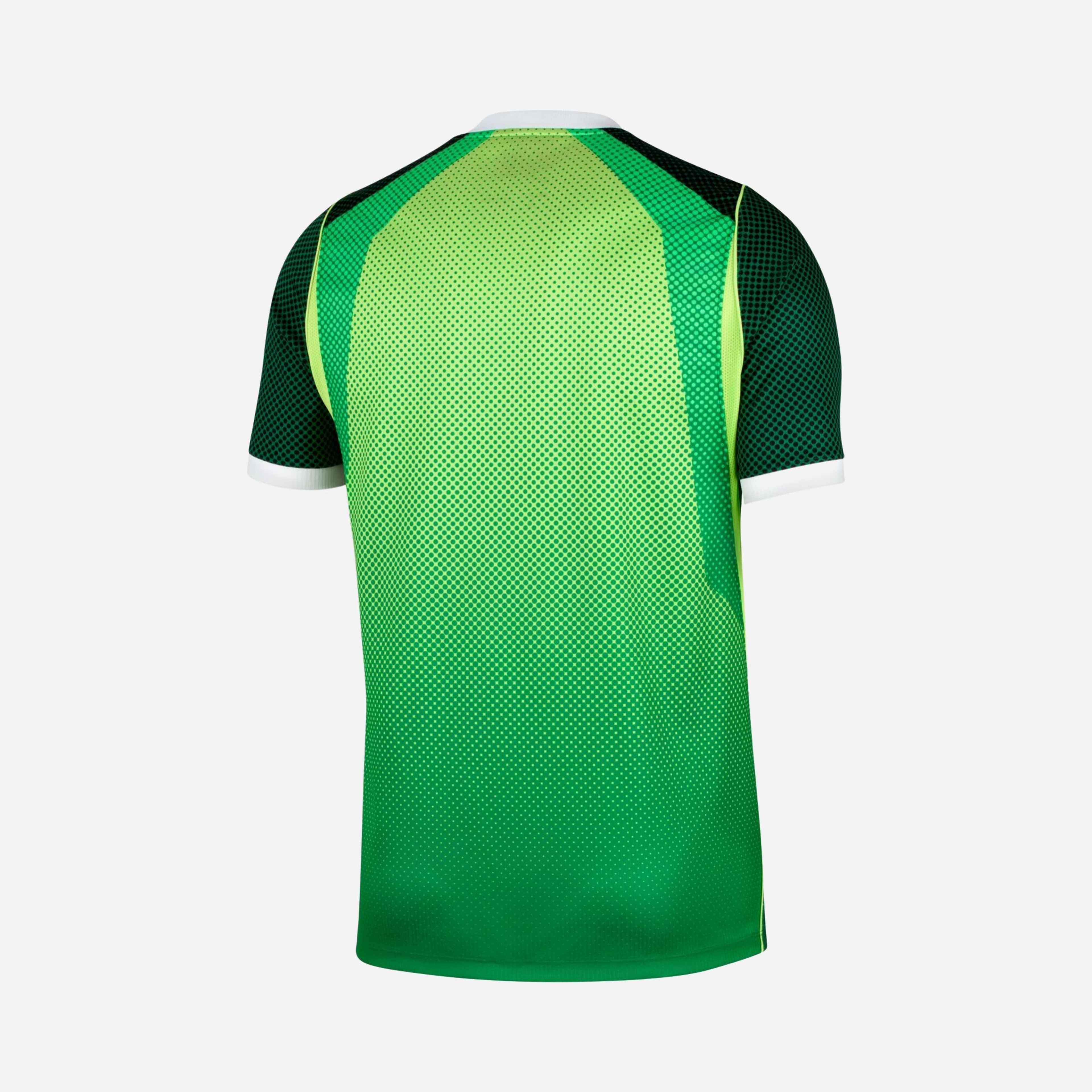 Nike Nijerya 2026 İç Saha Dri-FIT Erkek Forma