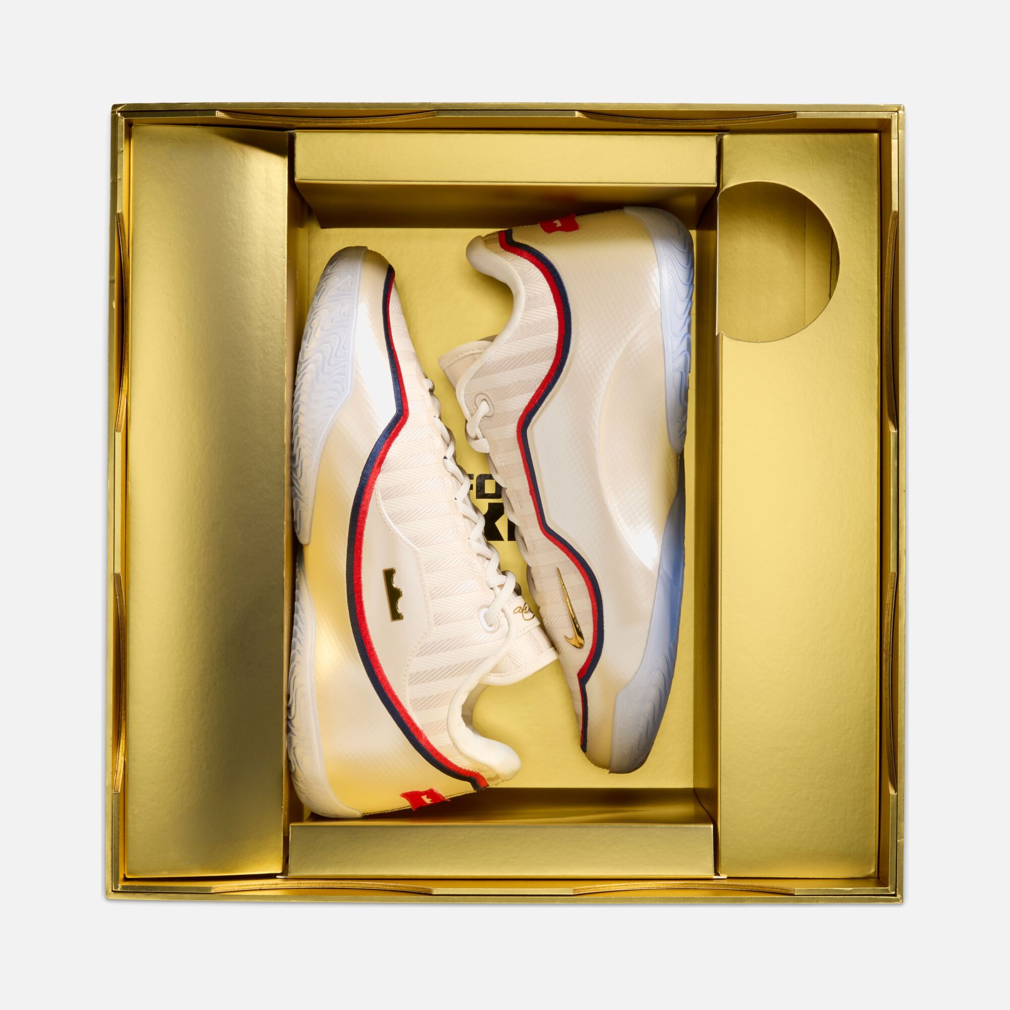Nike LeBron XXIII "Motor King" Erkek Basketbol Ayakkabı