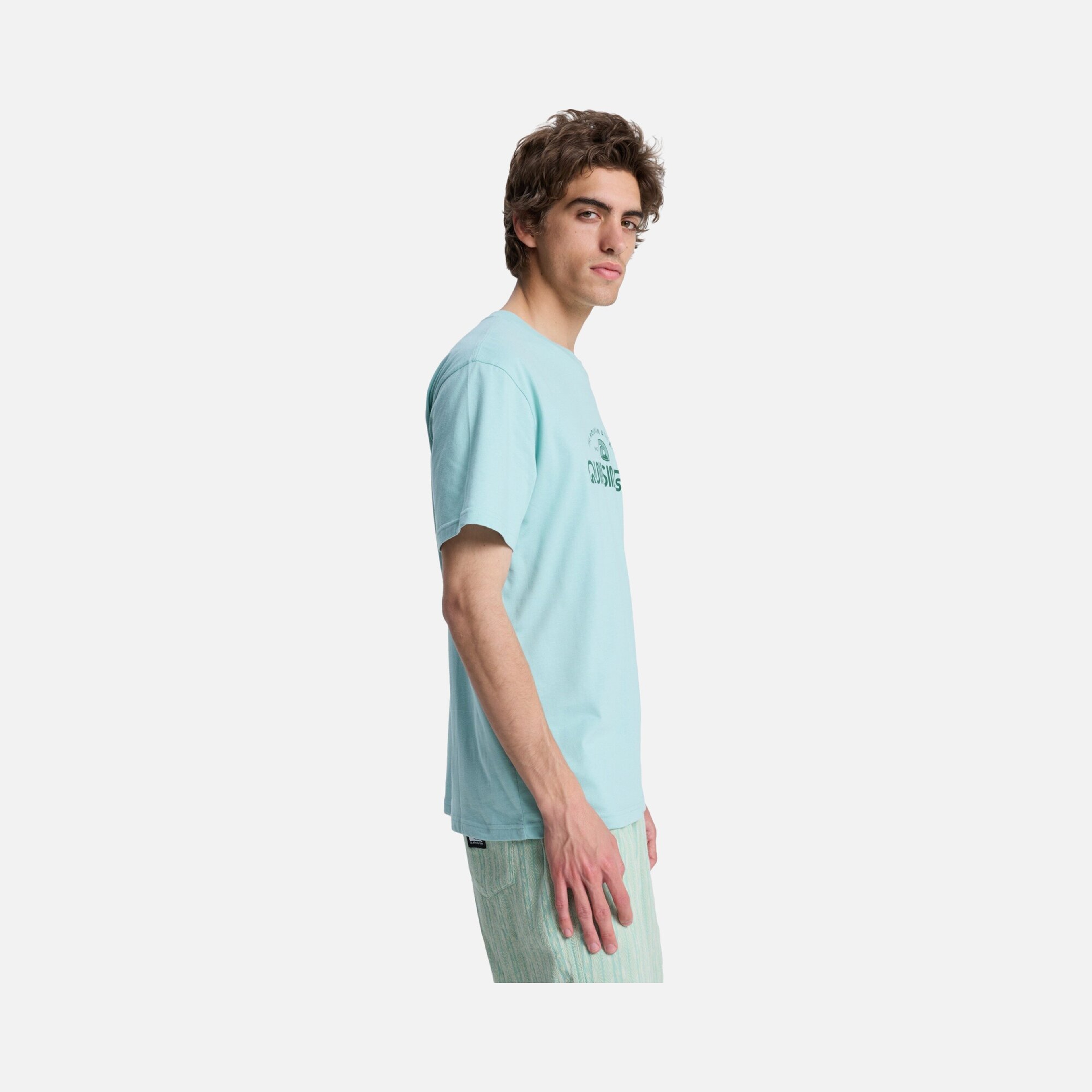 Quiksilver Ev Vista Erkek Tişört