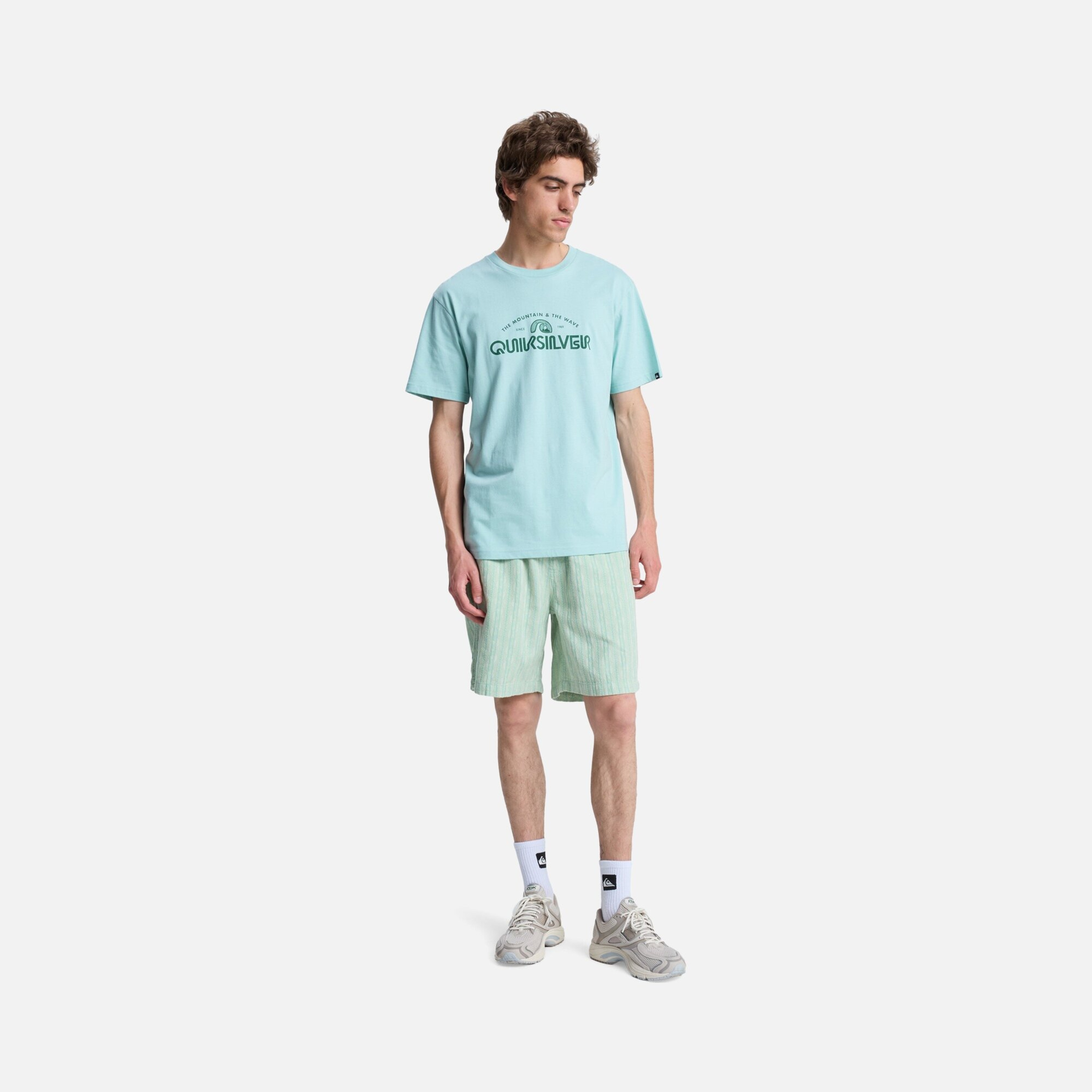 Quiksilver Ev Vista Erkek Tişört