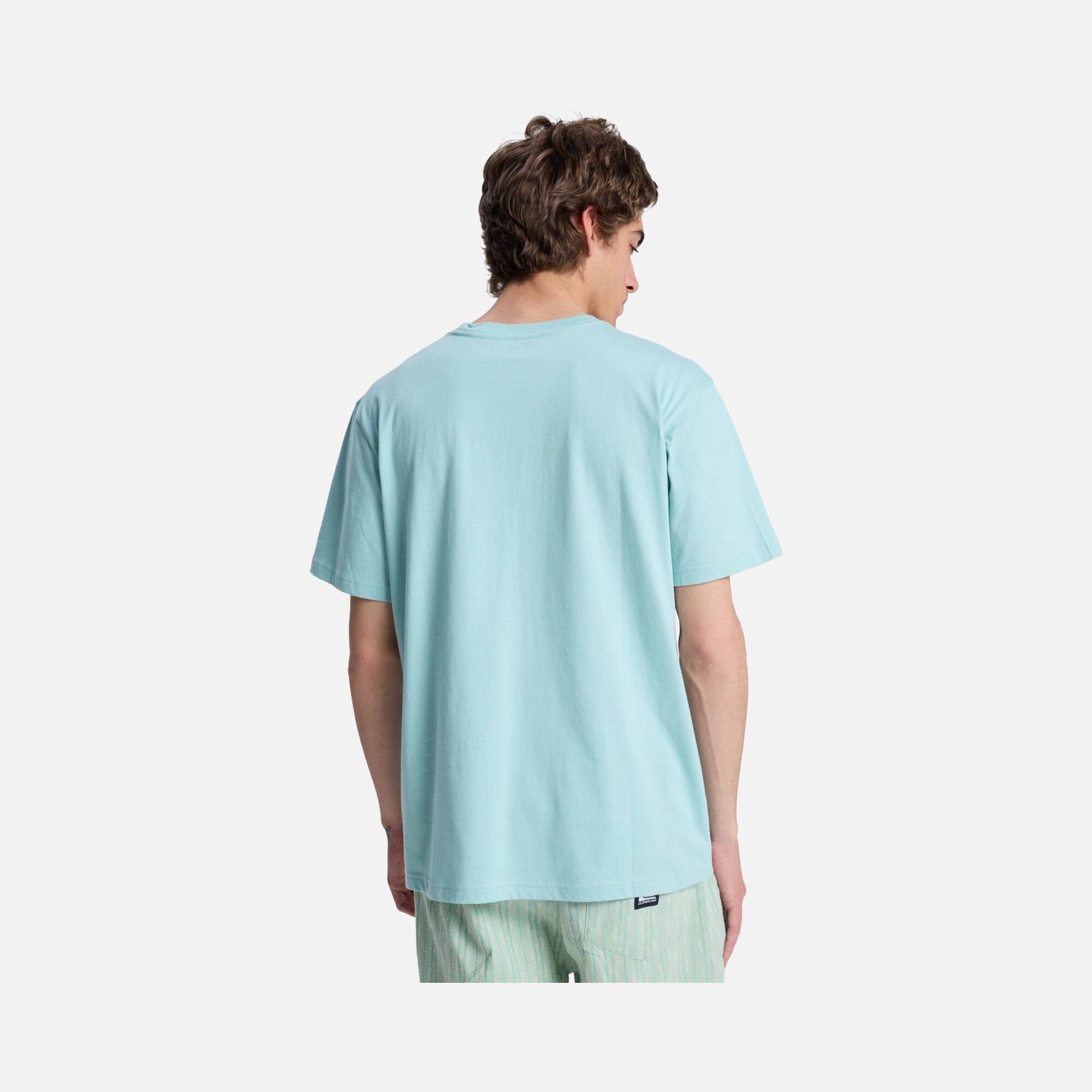 Quiksilver Ev Vista Erkek Tişört