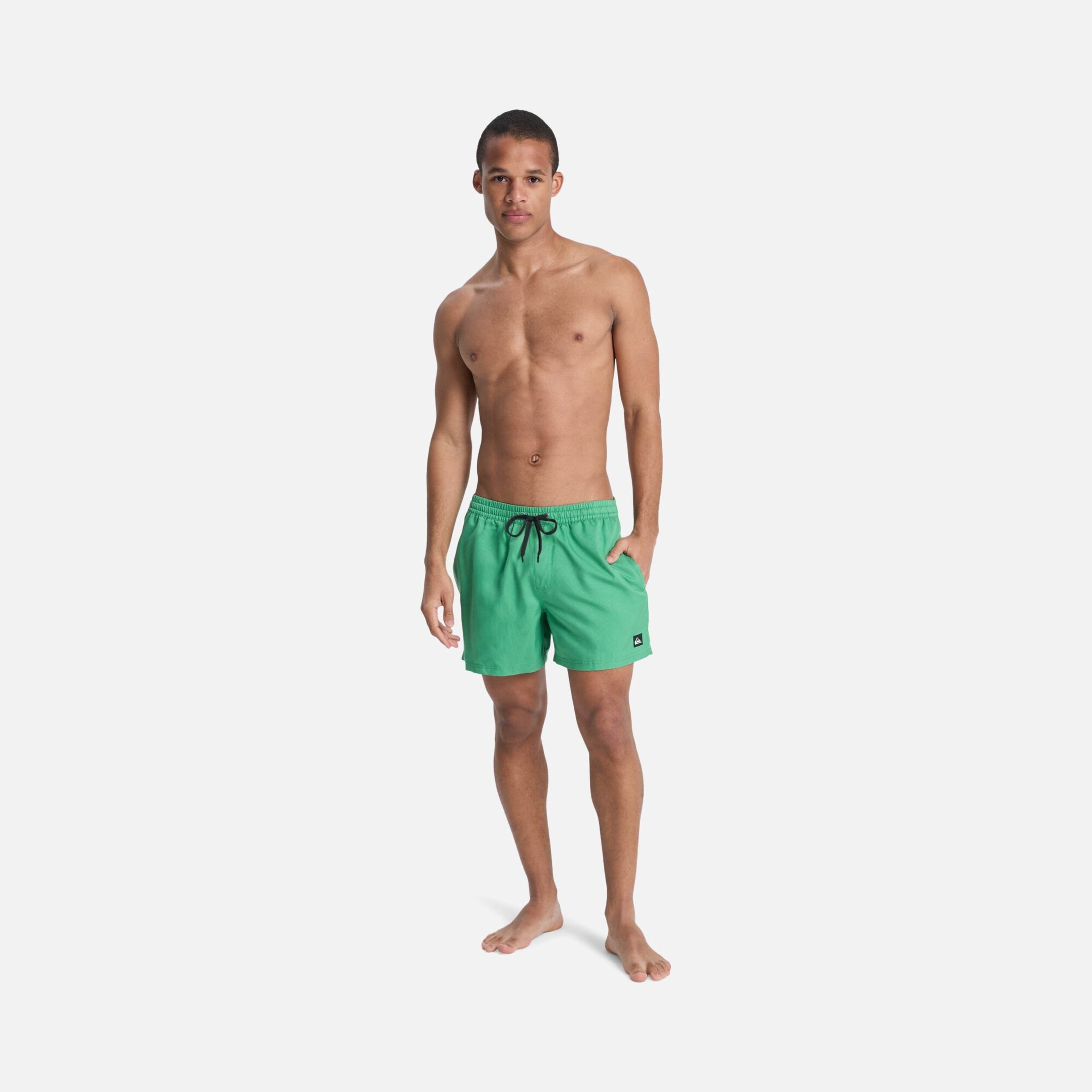 Quiksilver Everyday Deluxe Volley 15 Erkek Şort Mayo