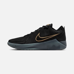 Nike LeBron James Witness IX HO25 Erkek Basketbol Ayakkabısı