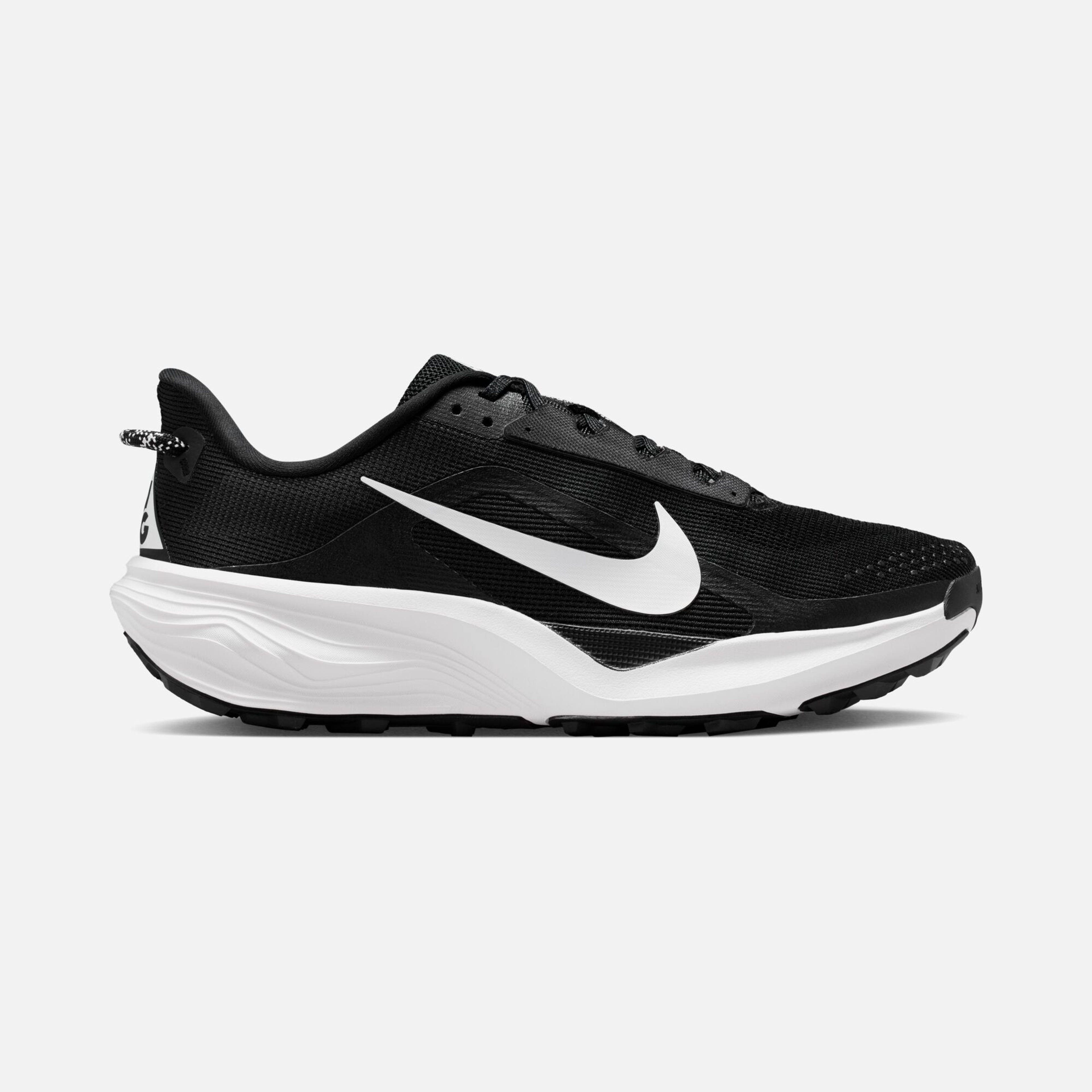 Nike Acg Pegasus Trail Erkek Spor Ayakkabı