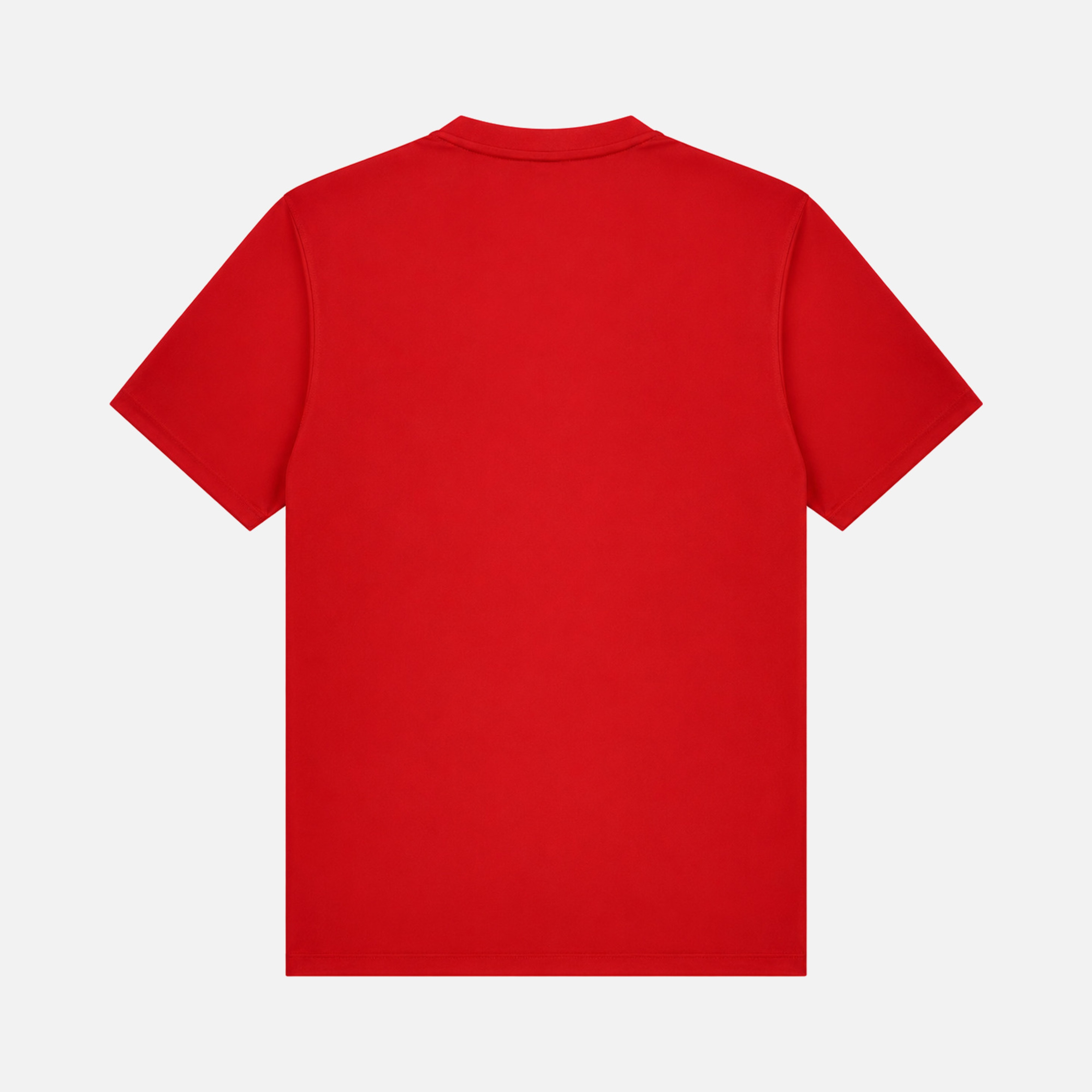 Nike Dri-FIT Türkiye Milli Takım İç Saha Erkek Forma
