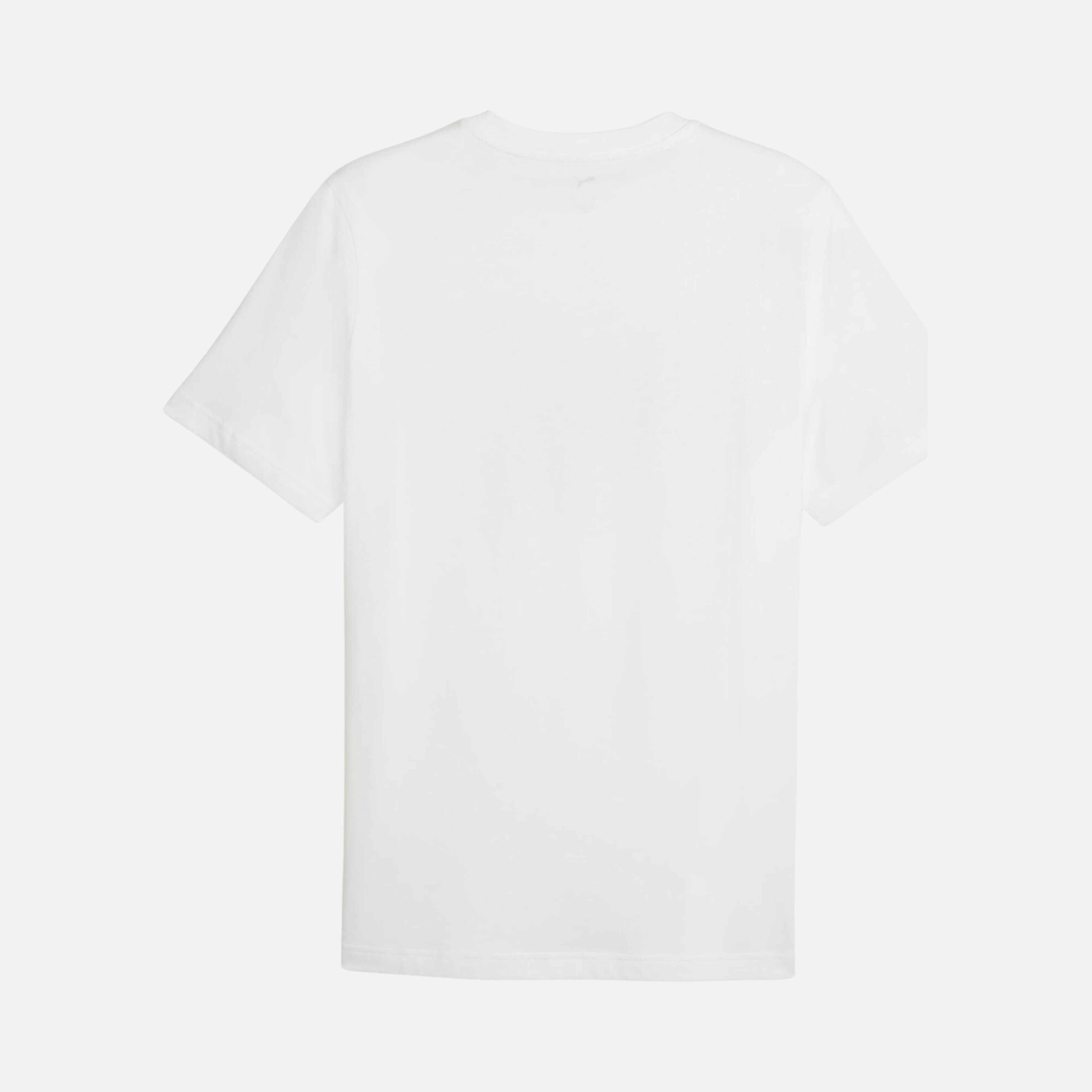 Puma SS26 Graphic Erkek Tişört
