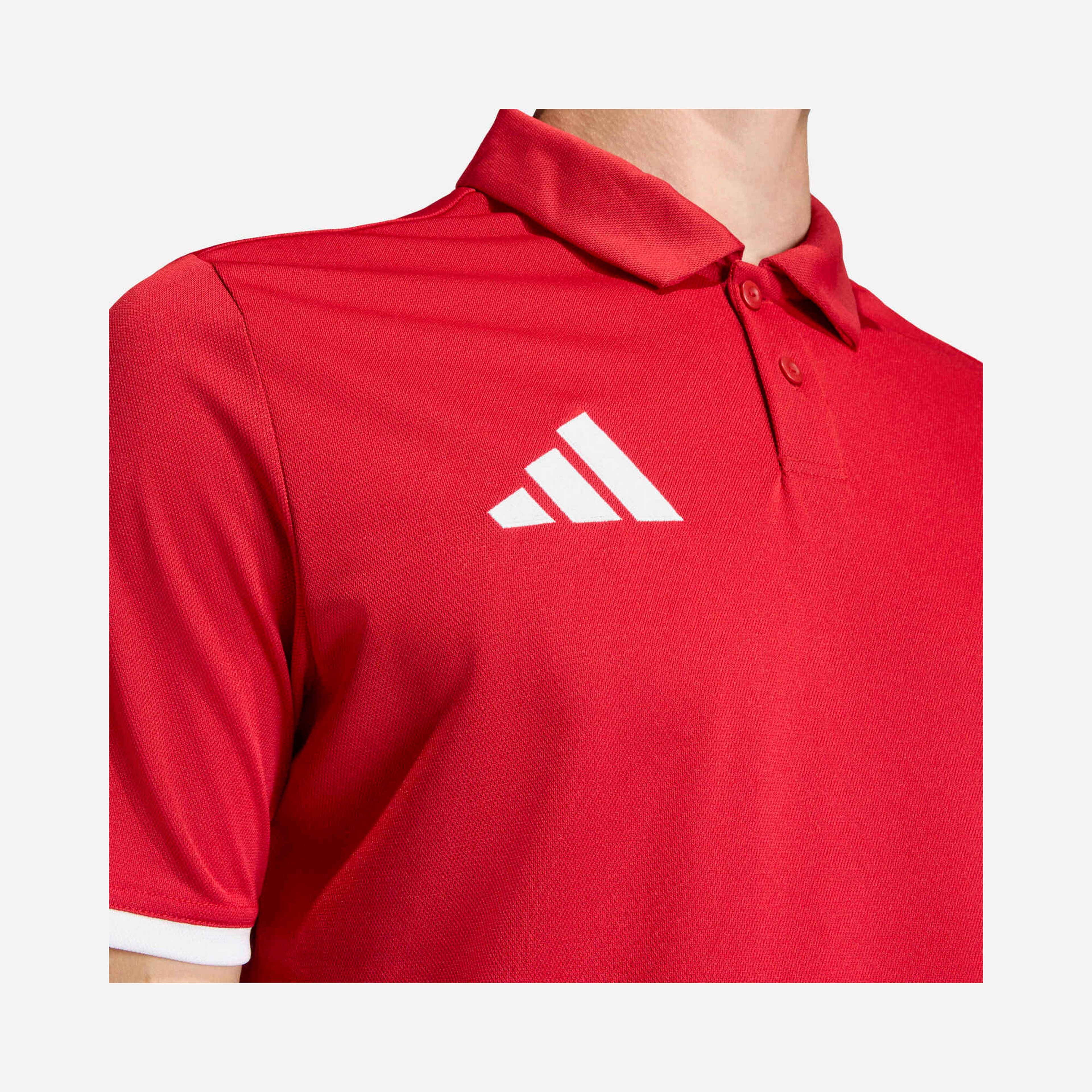 adidas Entrada26 Polo Erkek Tişört