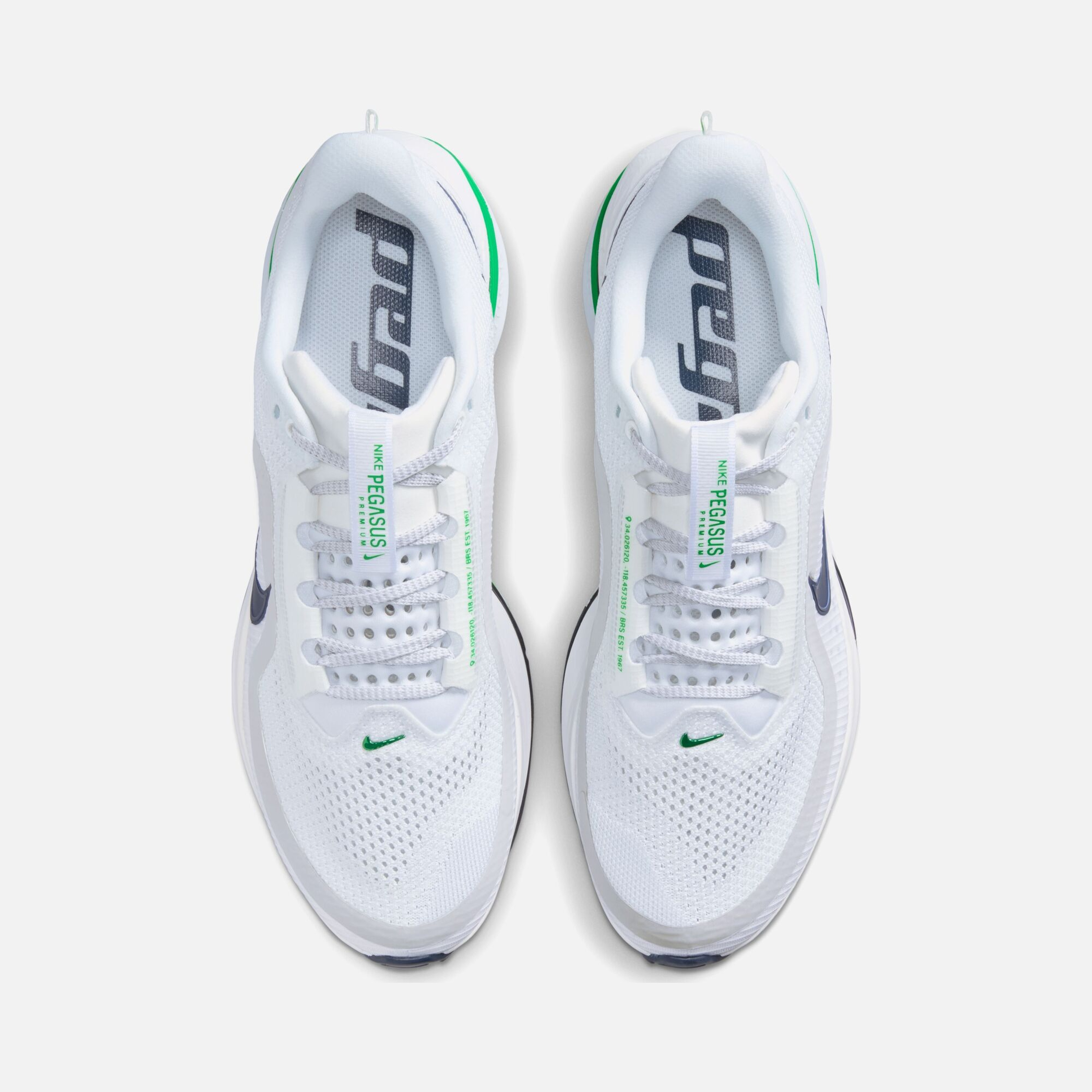 Nike Pegasus Premium Erkek Koşu Ayakkabısı