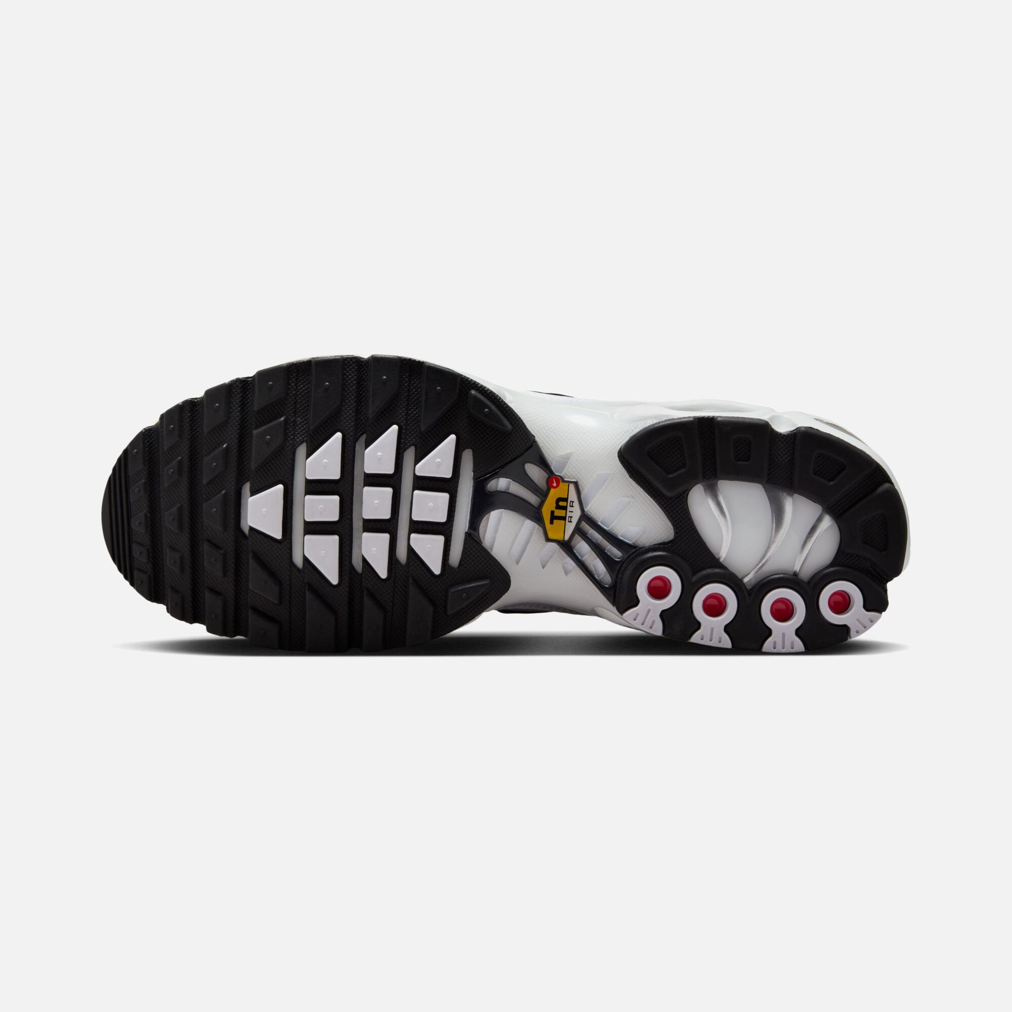 Nike Air Max Plus Premium CO  Kadın Spor Ayakkabı