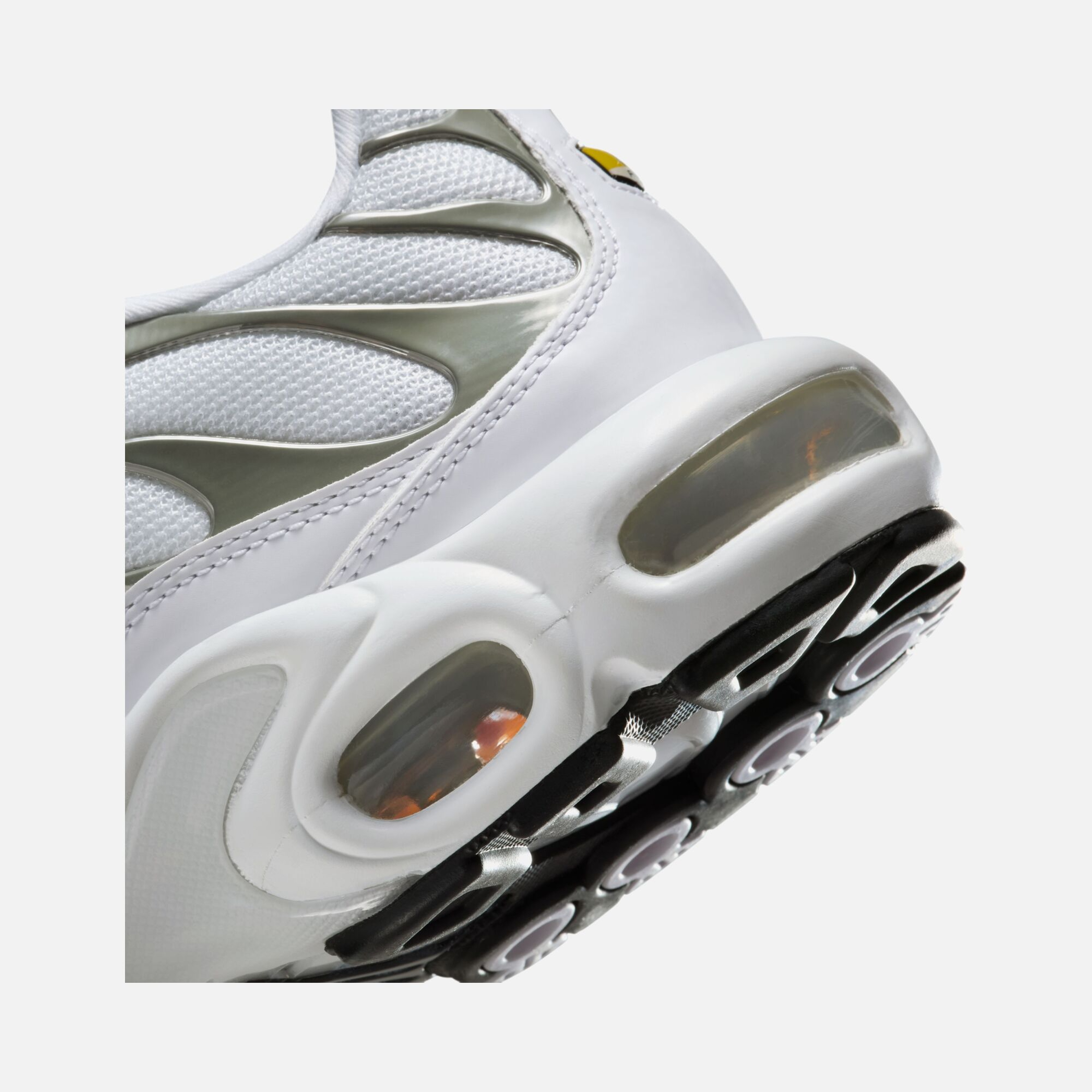 Nike Air Max Plus Premium CO  Kadın Spor Ayakkabı