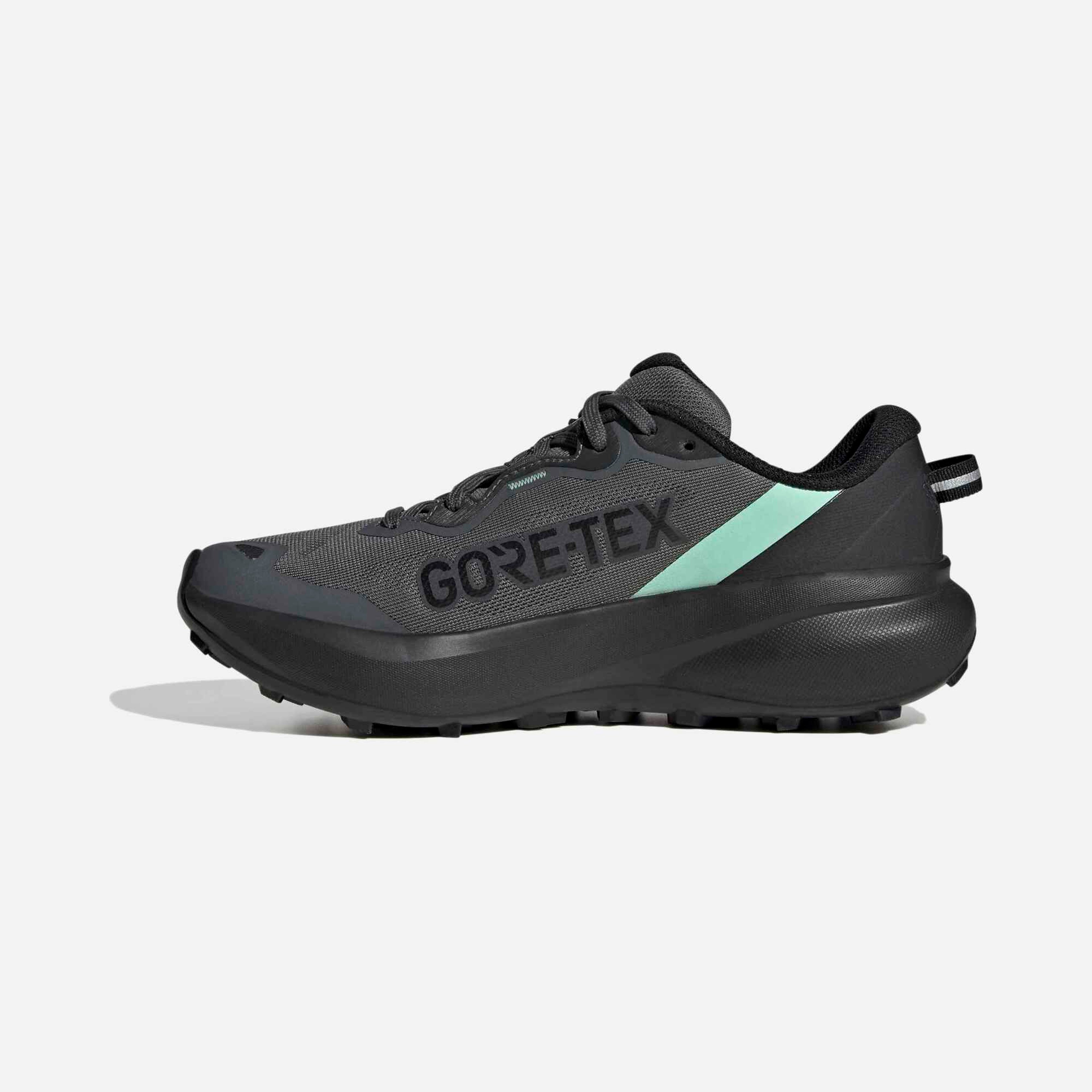 adidas Terrex Tracefinder Plus Gtx Kadın Outdoor Ayakkabı